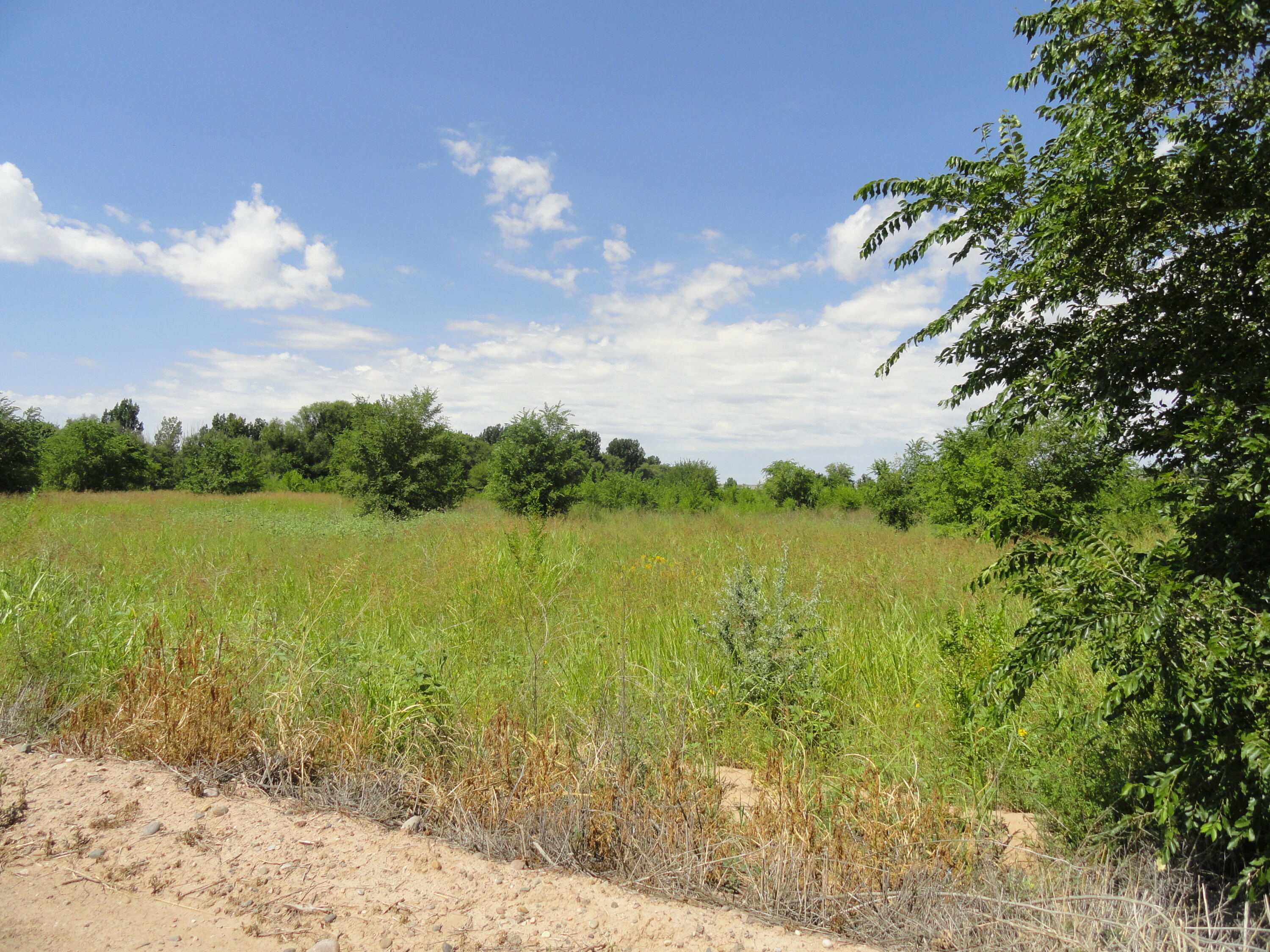 Lot D1 Private Drive