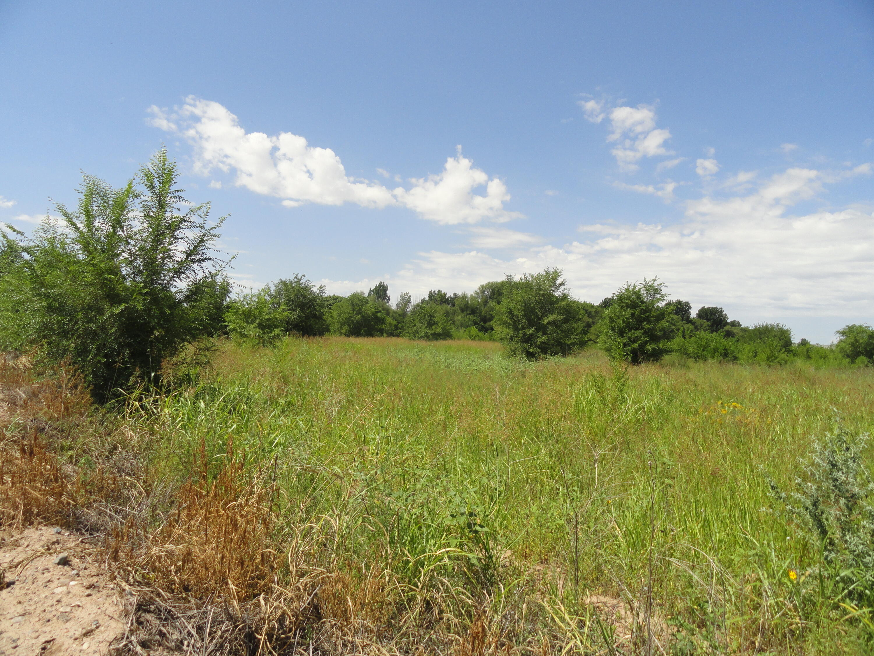 Lot D1 Private Drive