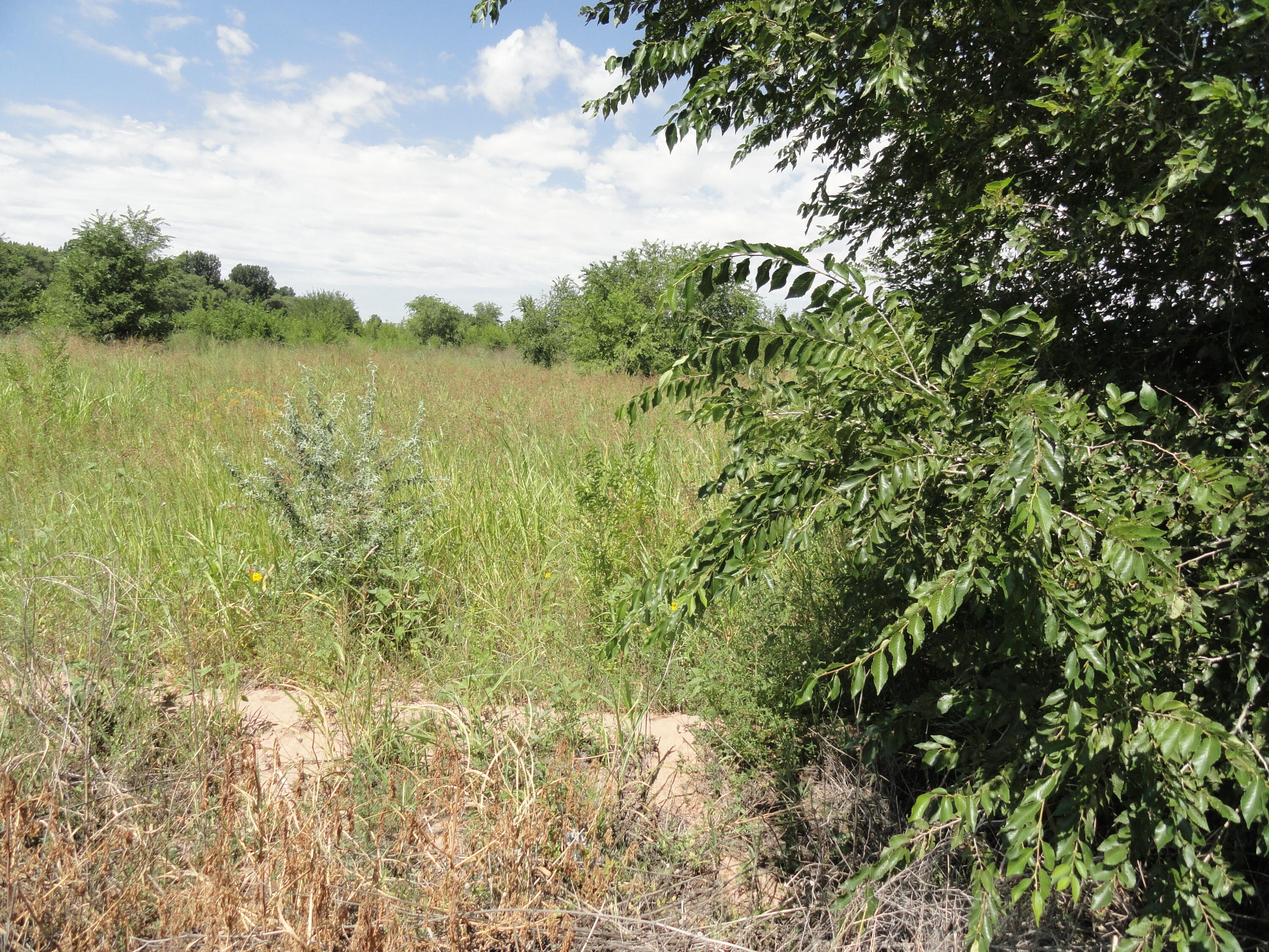 Lot D1 Private Drive