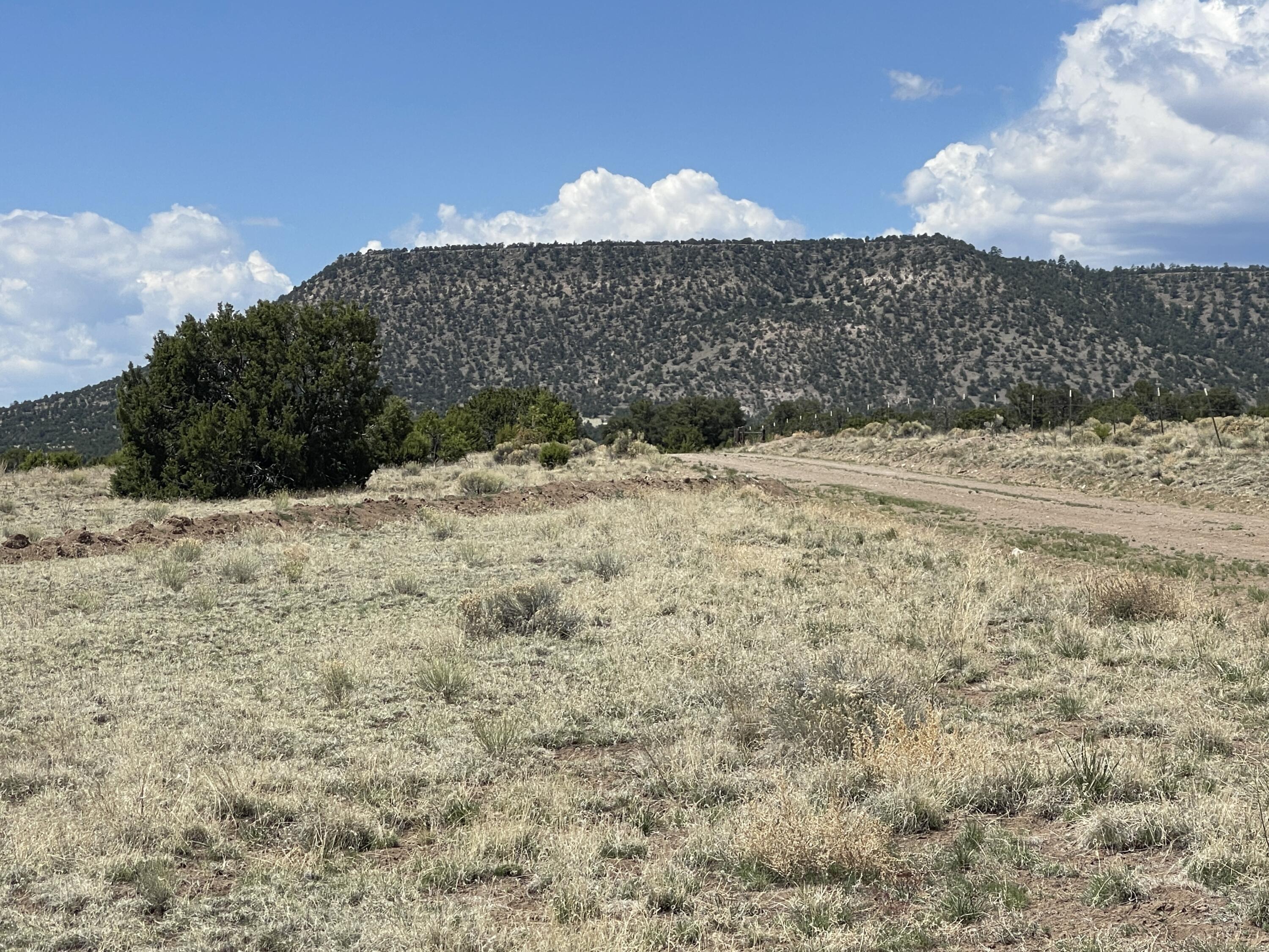 Lot 11 Old Thomas Place Iv