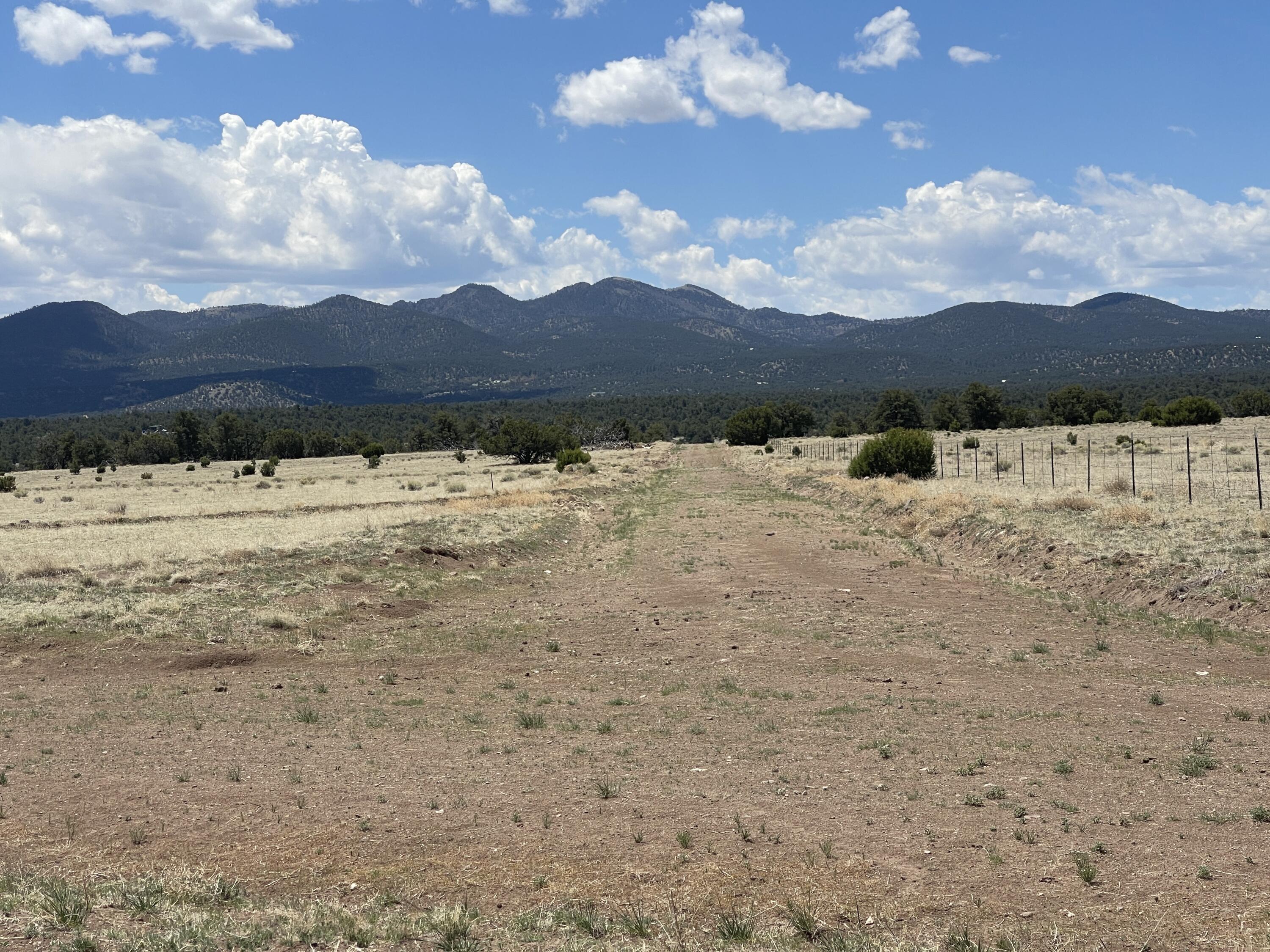 Lot 11 Old Thomas Place Iv