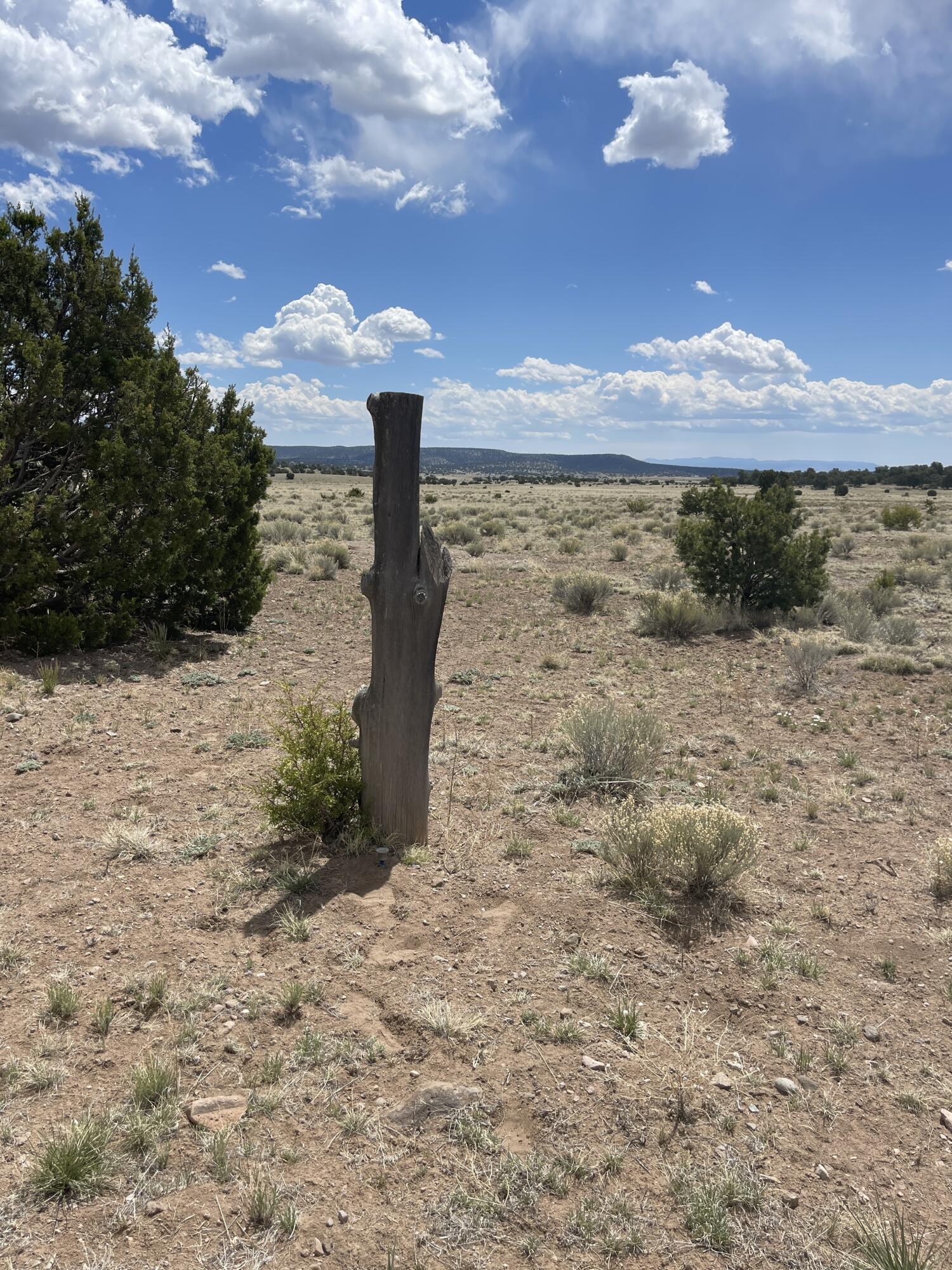 Lot 11 Old Thomas Place Iv