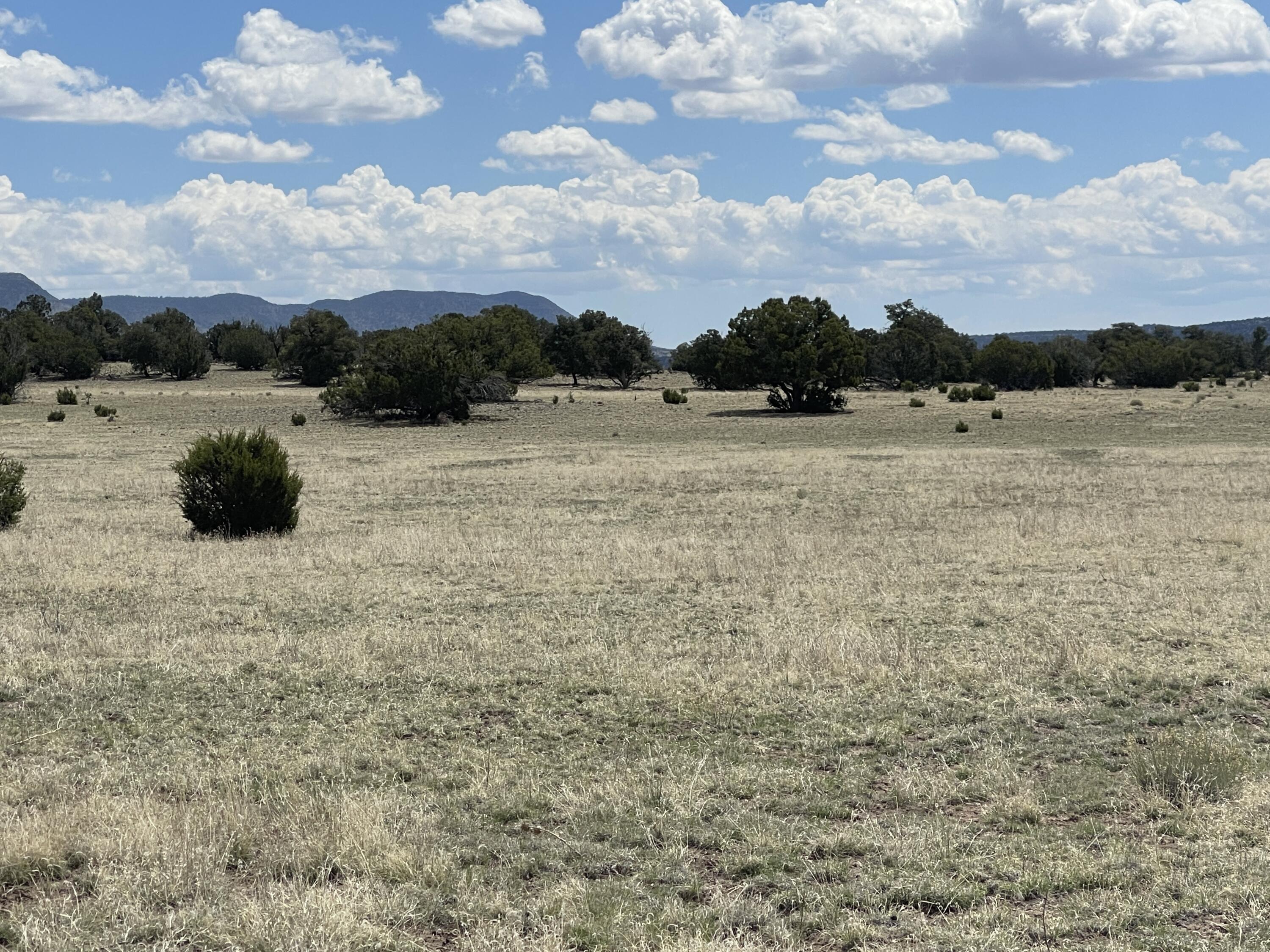 Lot 11 Old Thomas Place Iv