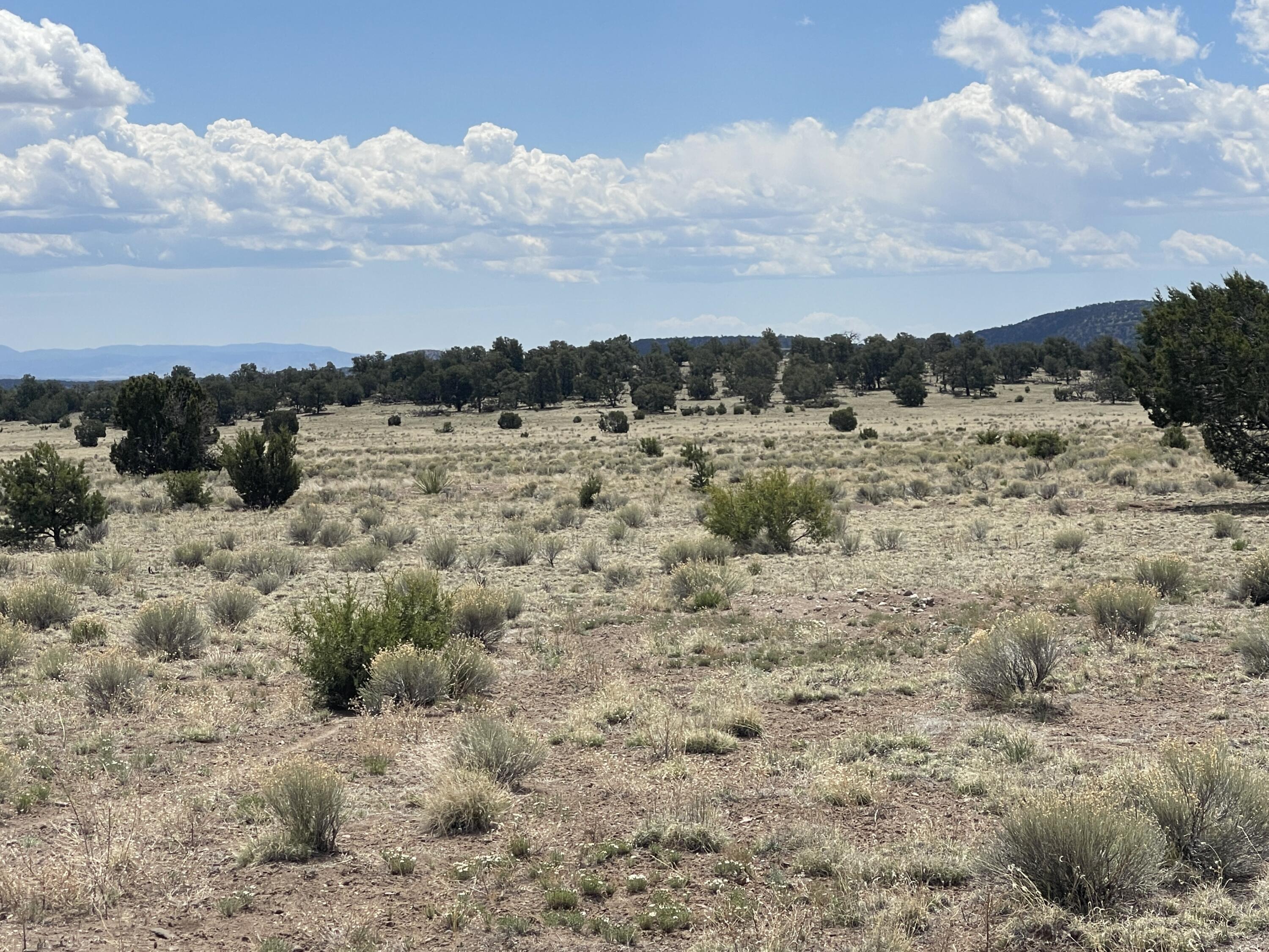 Lot 11 Old Thomas Place Iv