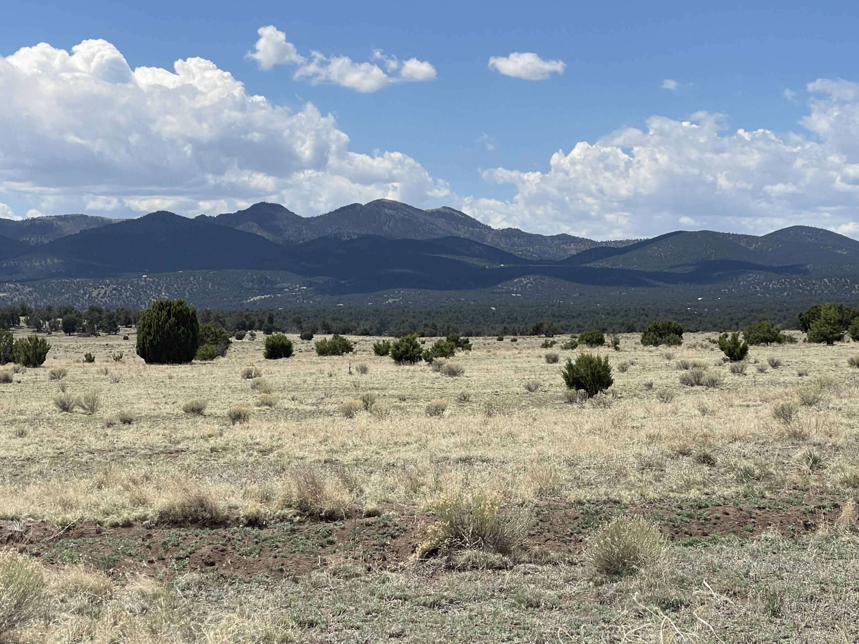Lot 11 Old Thomas Place Iv