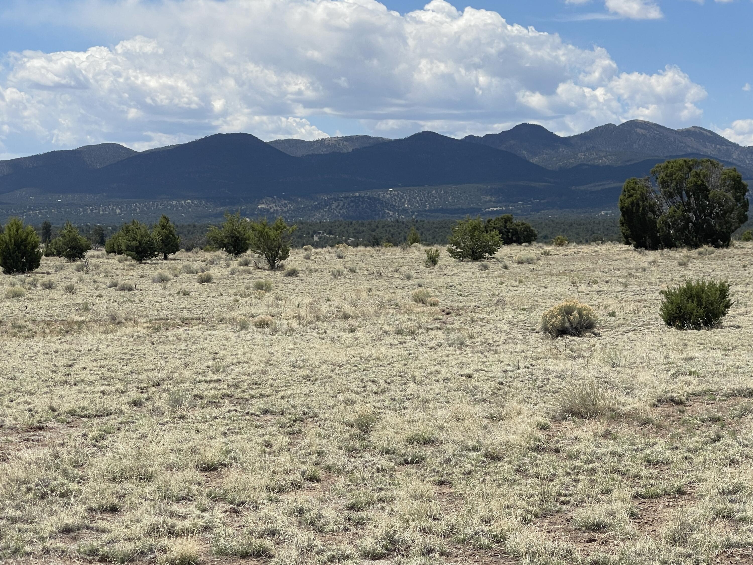 Lot 11 Old Thomas Place Iv
