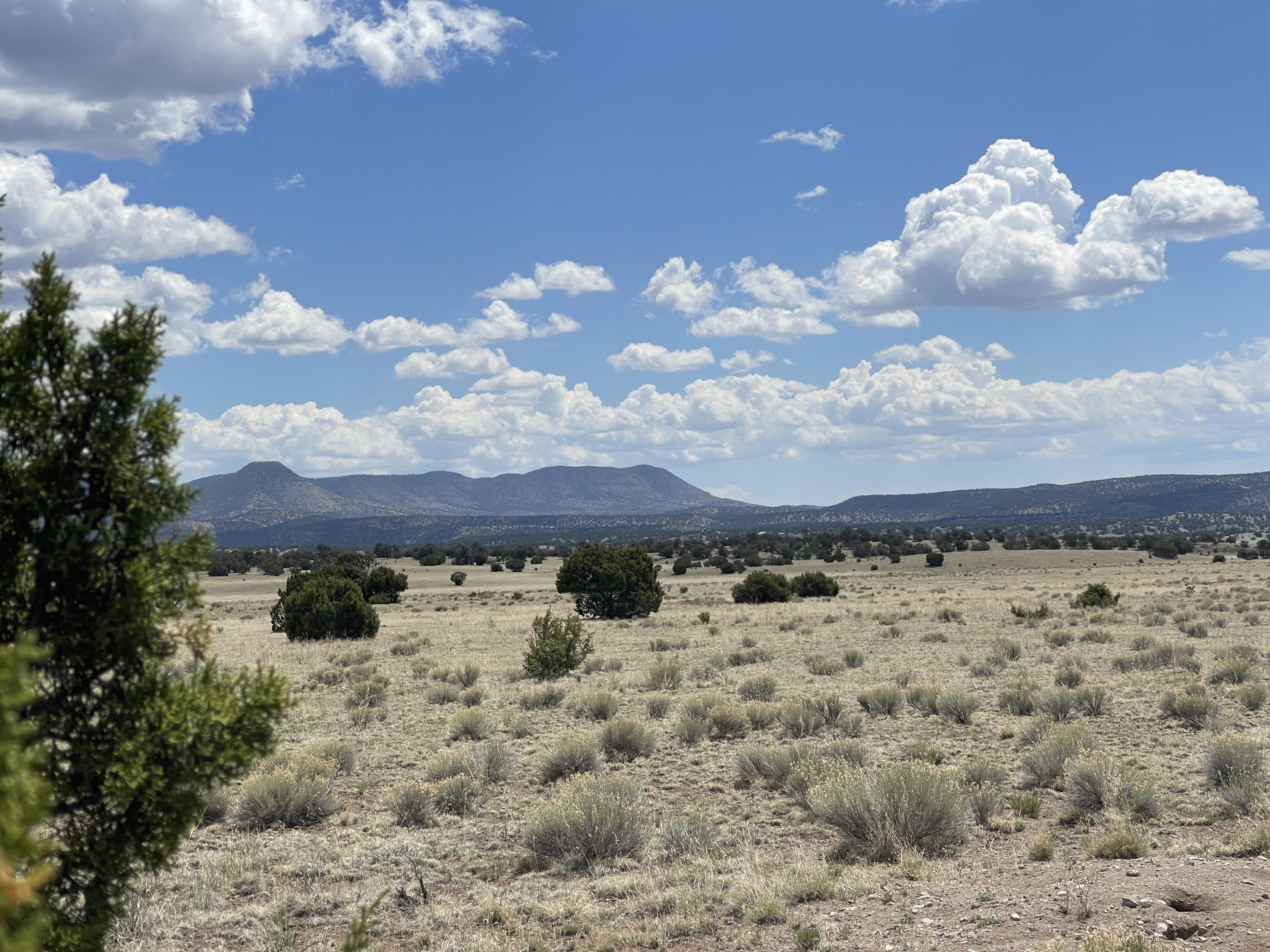 Lot 11 Old Thomas Place Iv