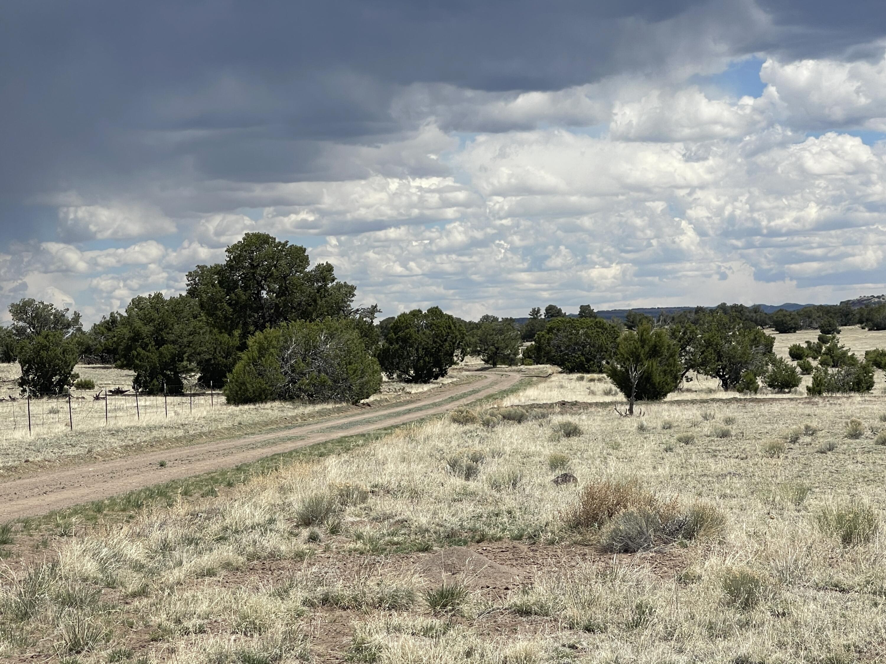 Lot 11 Old Thomas Place Iv