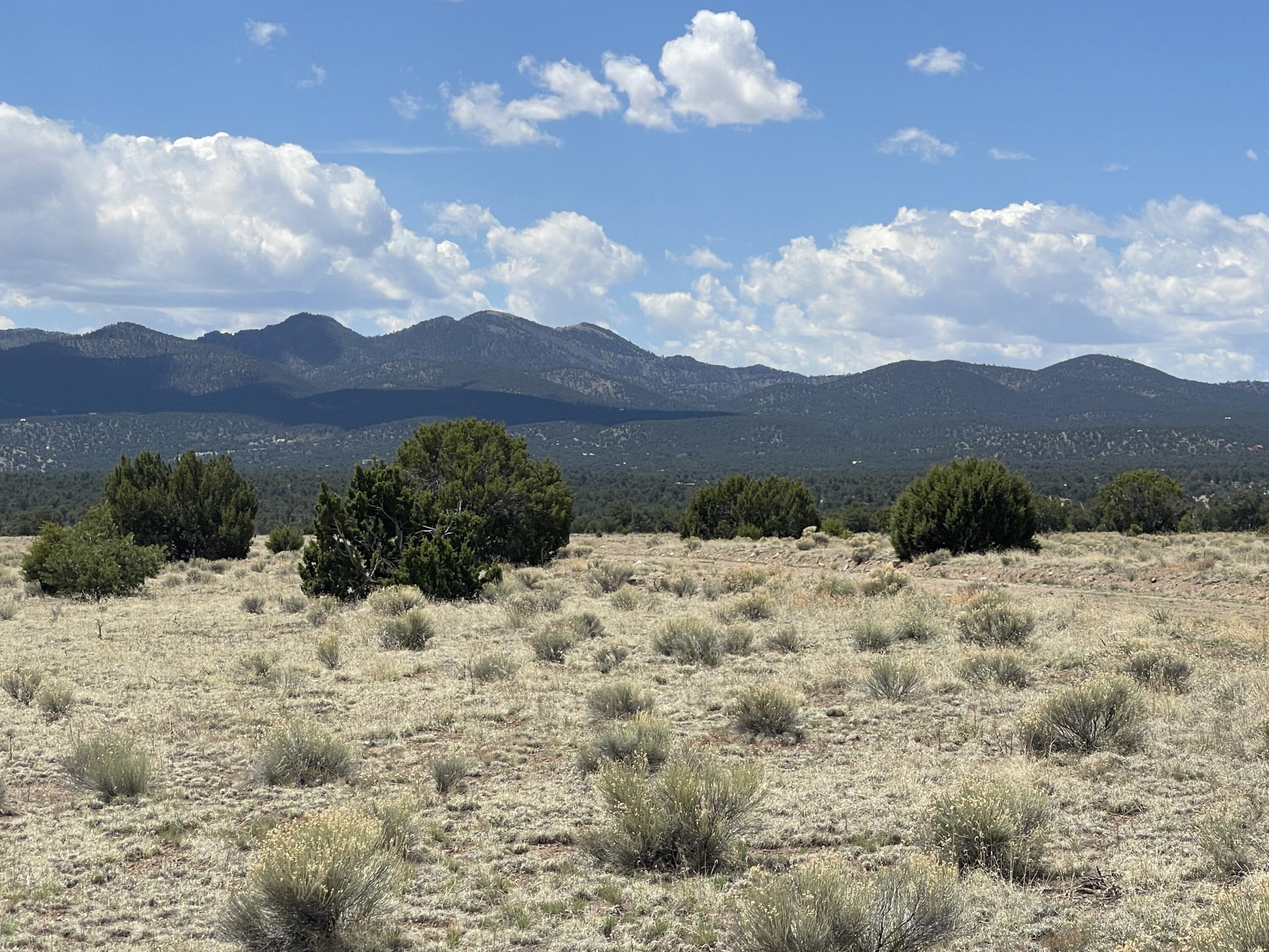 Lot 11 Old Thomas Place Iv