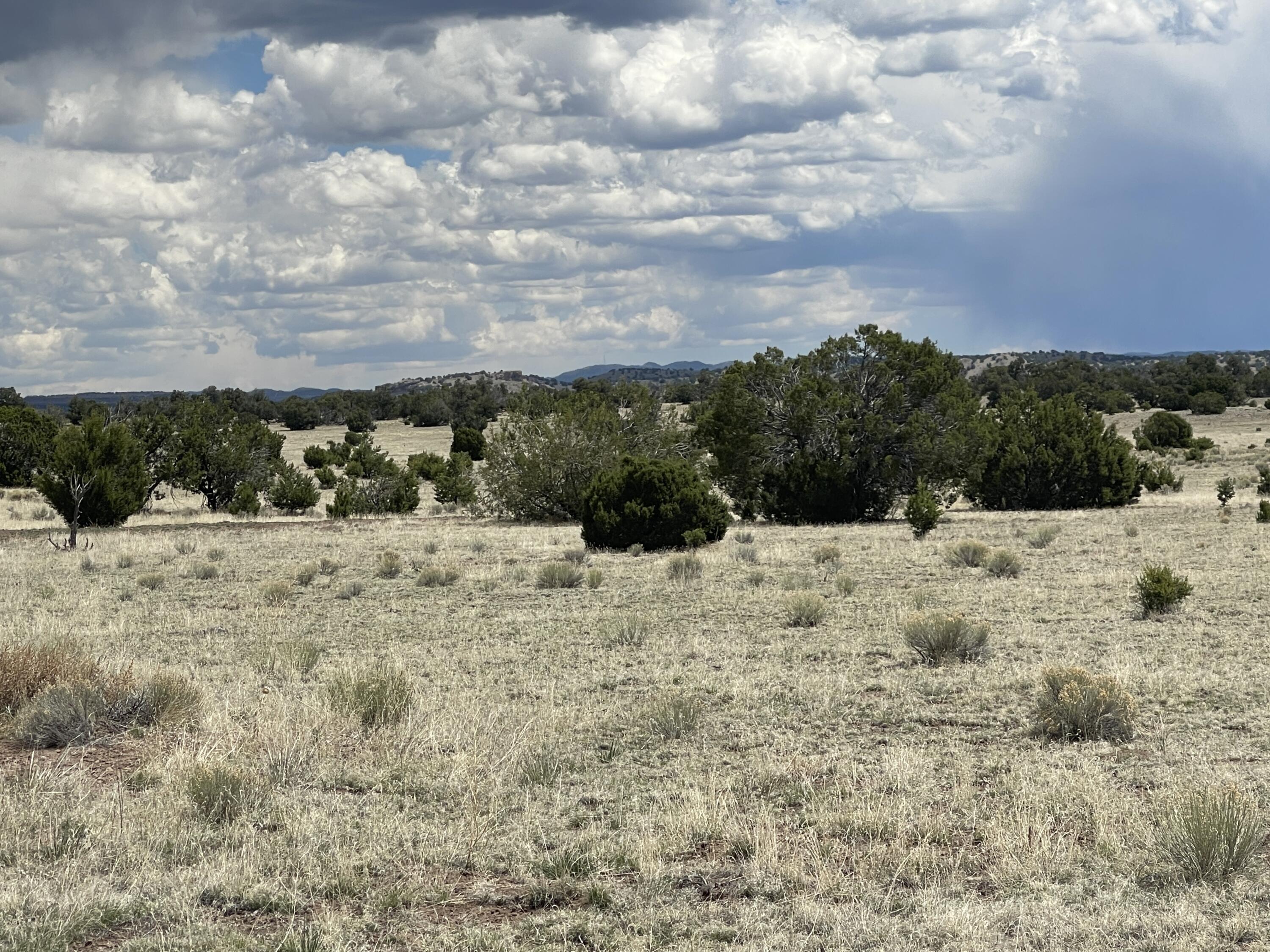 Lot 11 Old Thomas Place Iv