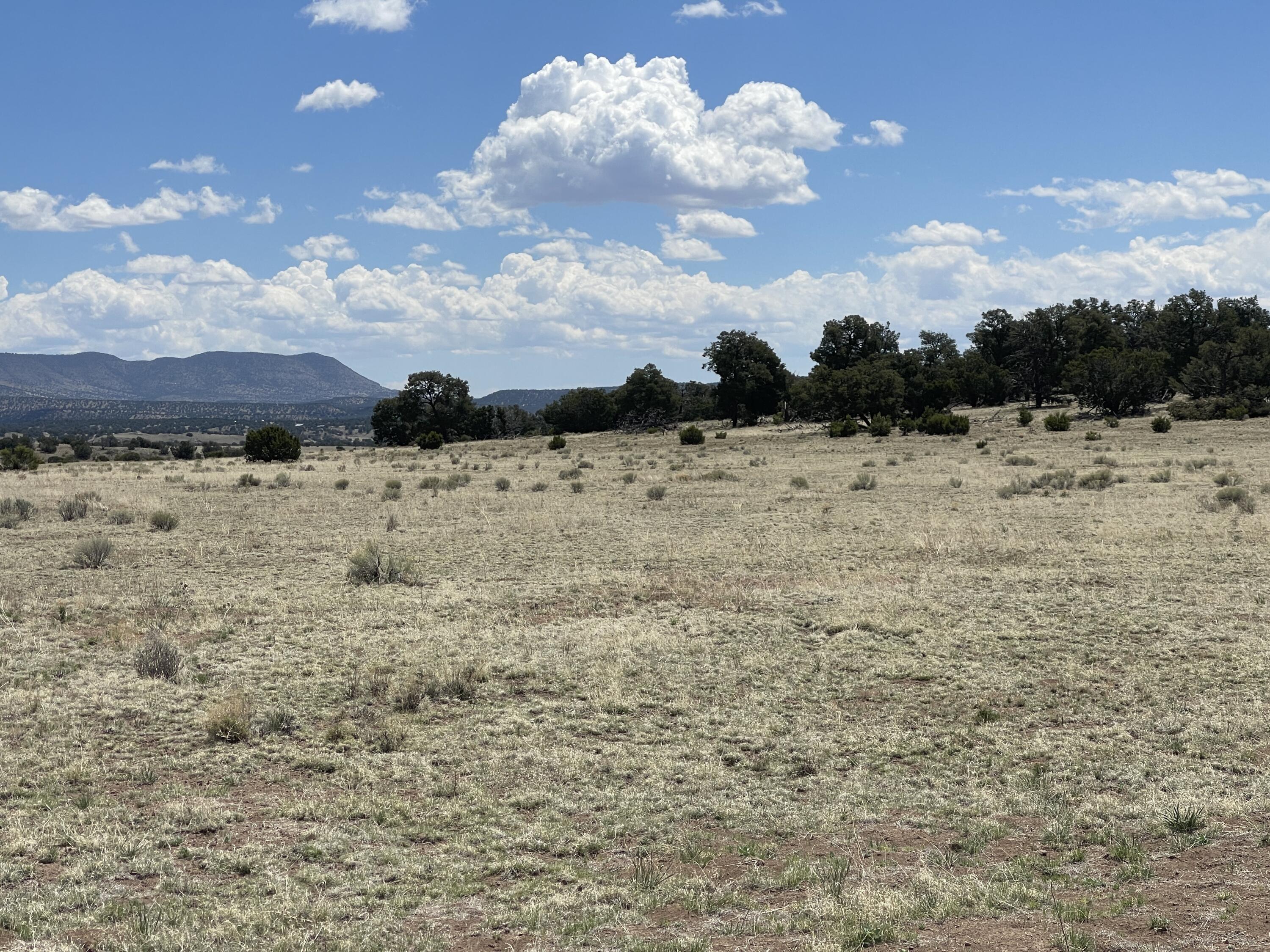 Lot 11 Old Thomas Place Iv