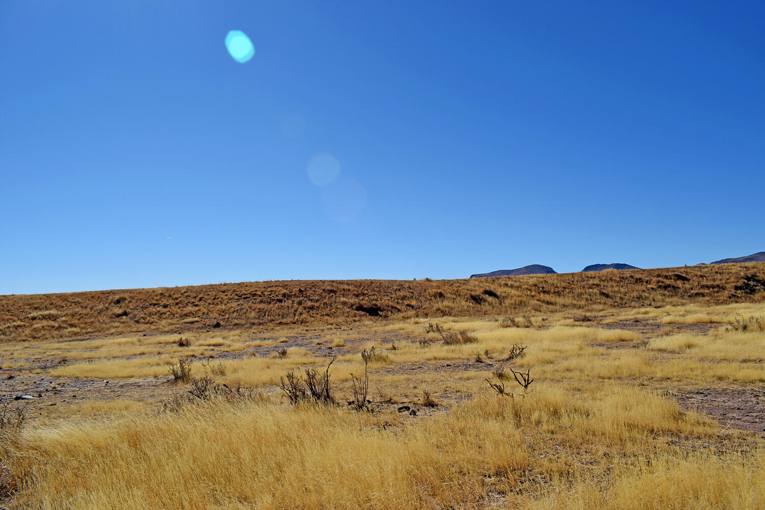 Lot 224 Double B Ranch Road