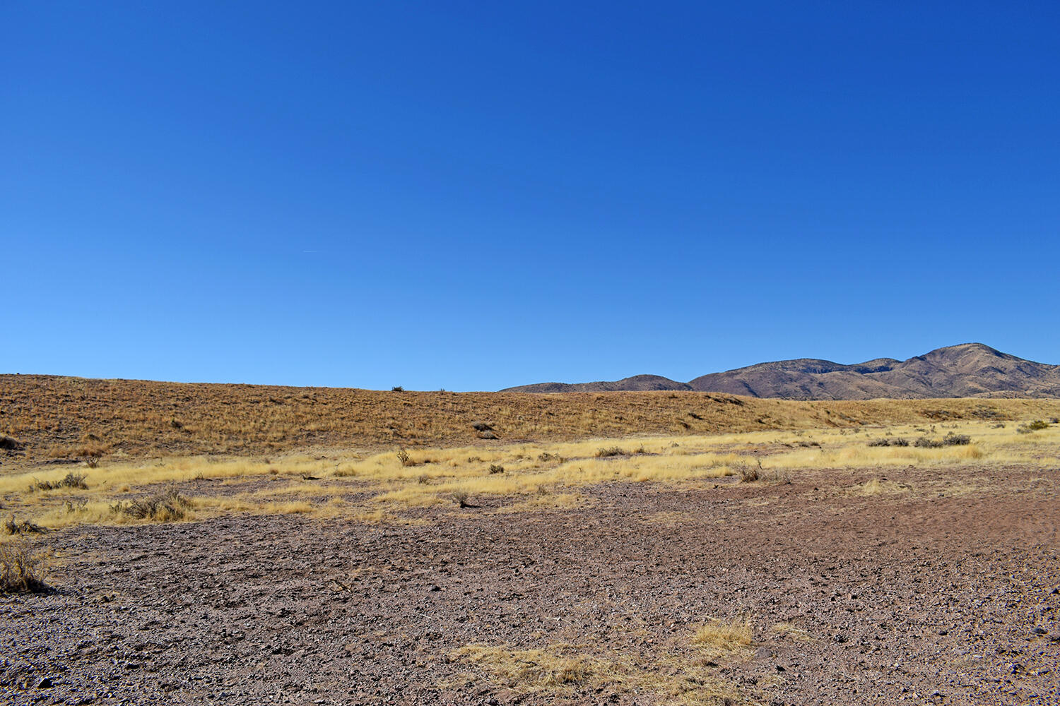 Lot 224 Double B Ranch Road