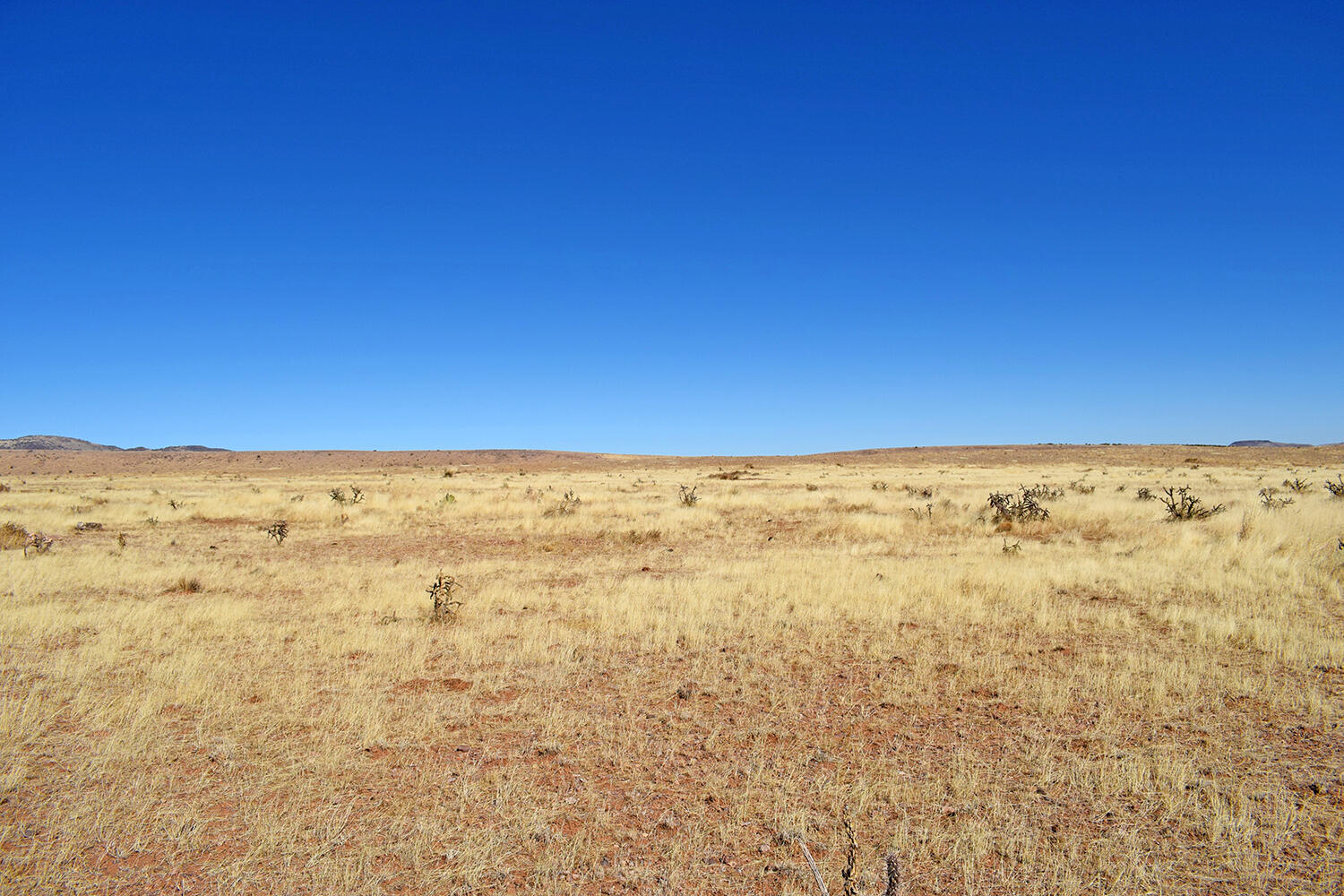 Lot 224 Double B Ranch Road
