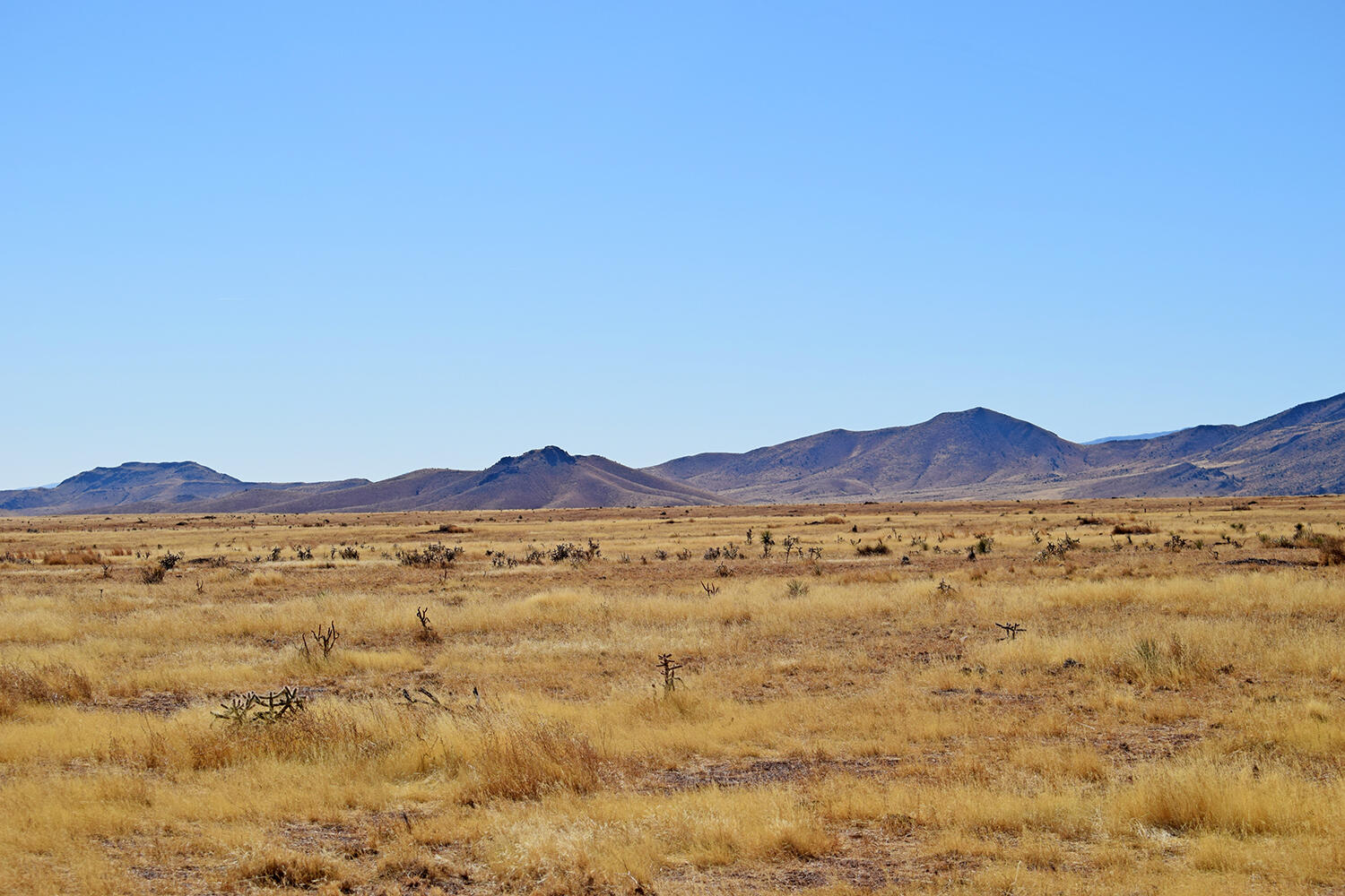 Lot 224 Double B Ranch Road