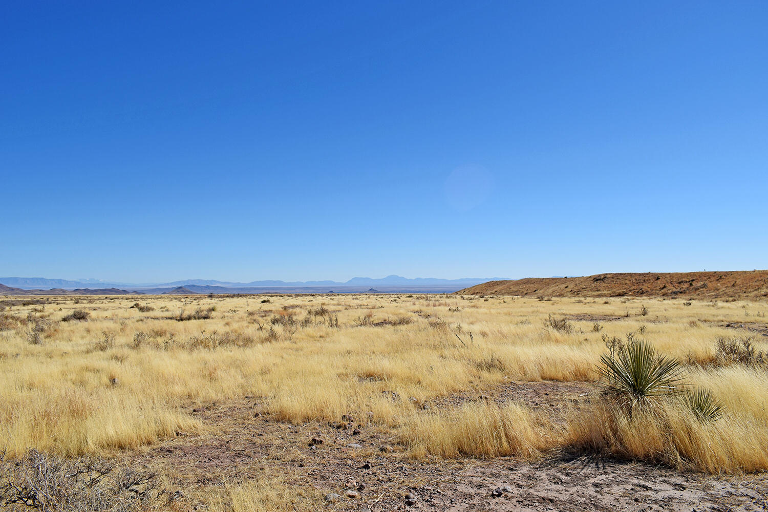 Lot 224 Double B Ranch Road
