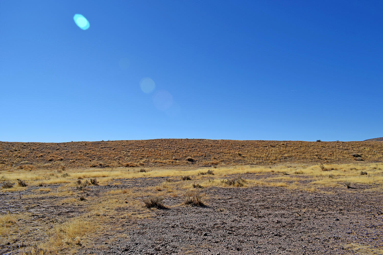 Lot 224 Double B Ranch Road