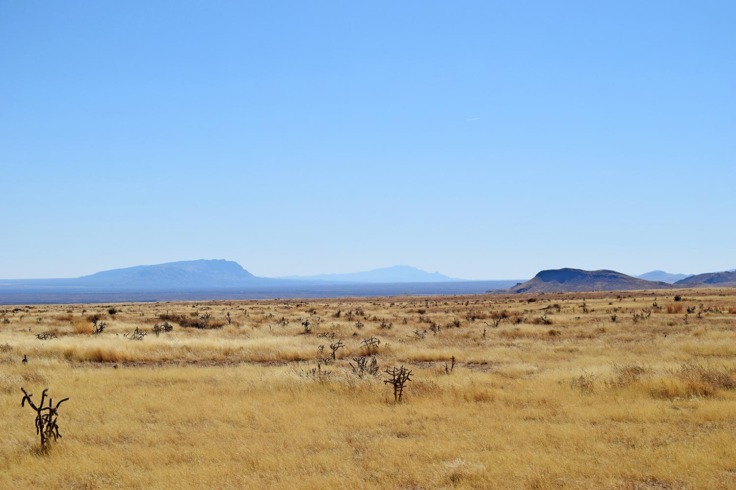 Lot 224 Double B Ranch Road