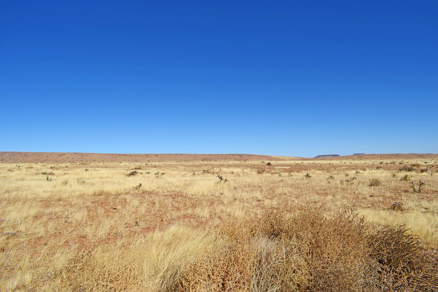 Lot 224 Double B Ranch Road