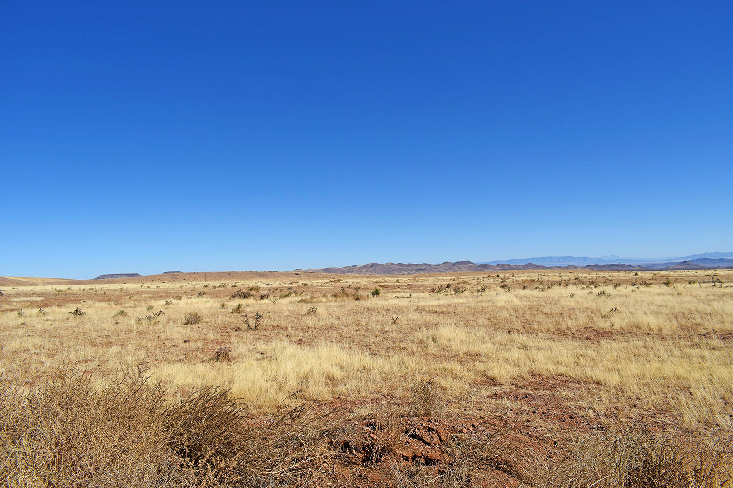 Lot 224 Double B Ranch Road