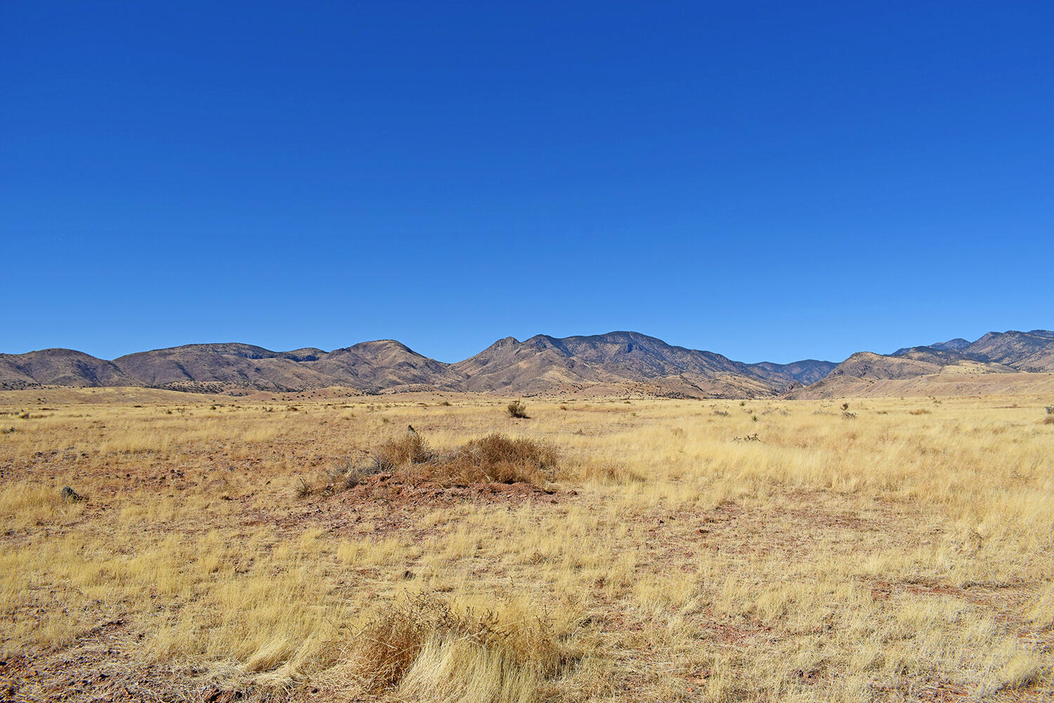 Lot 224 Double B Ranch Road