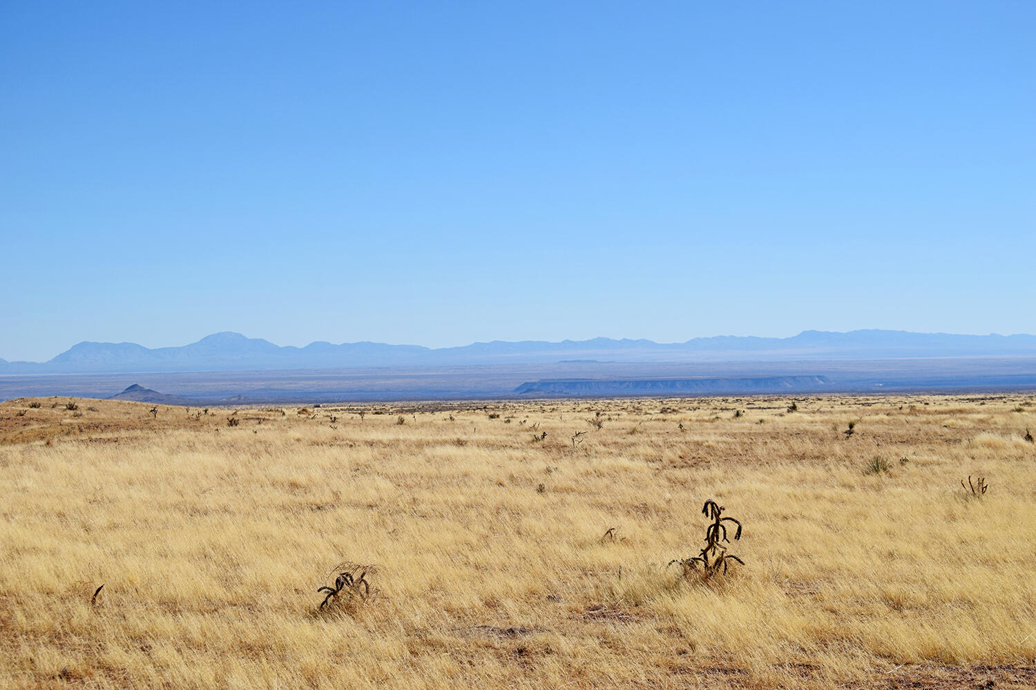 Lot 224 Double B Ranch Road