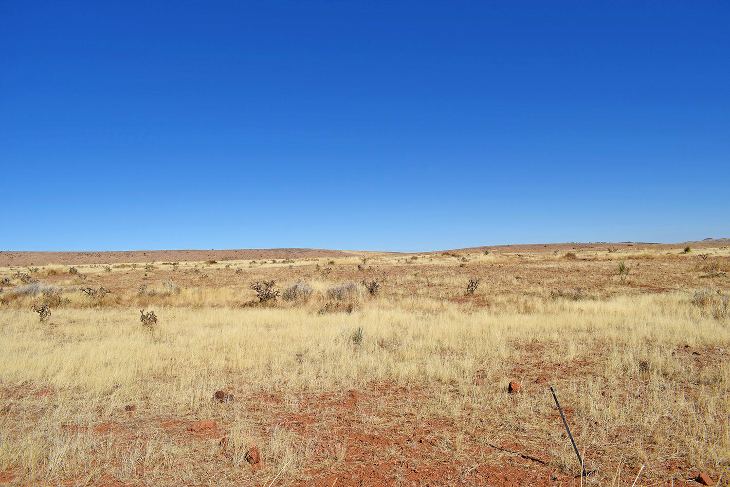 Lot 224 Double B Ranch Road