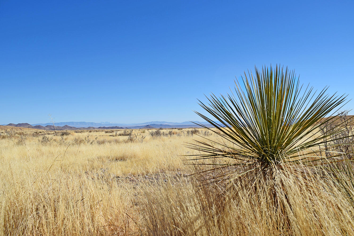 Lot 224 Double B Ranch Road