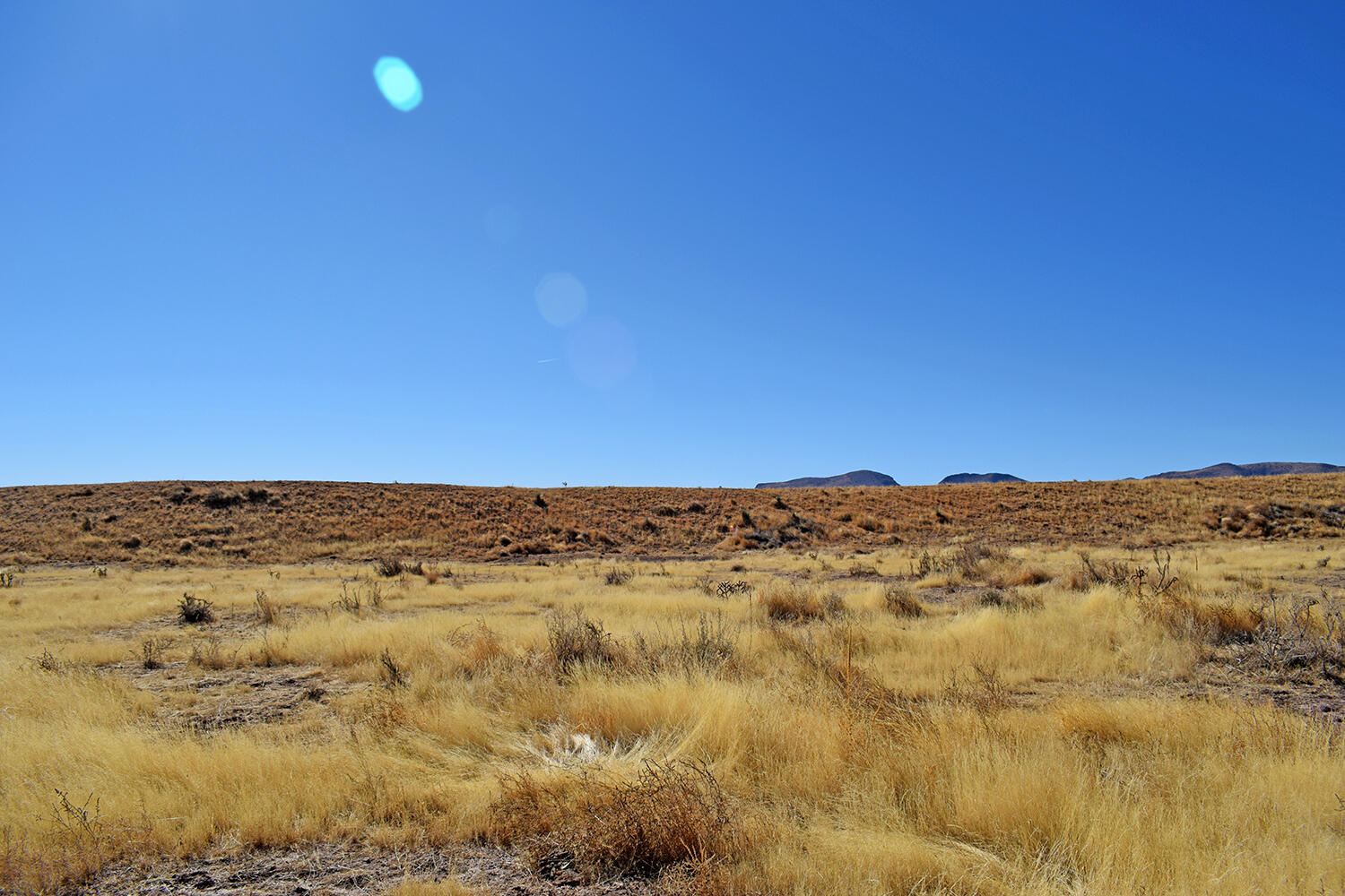 Lot 224 Double B Ranch Road