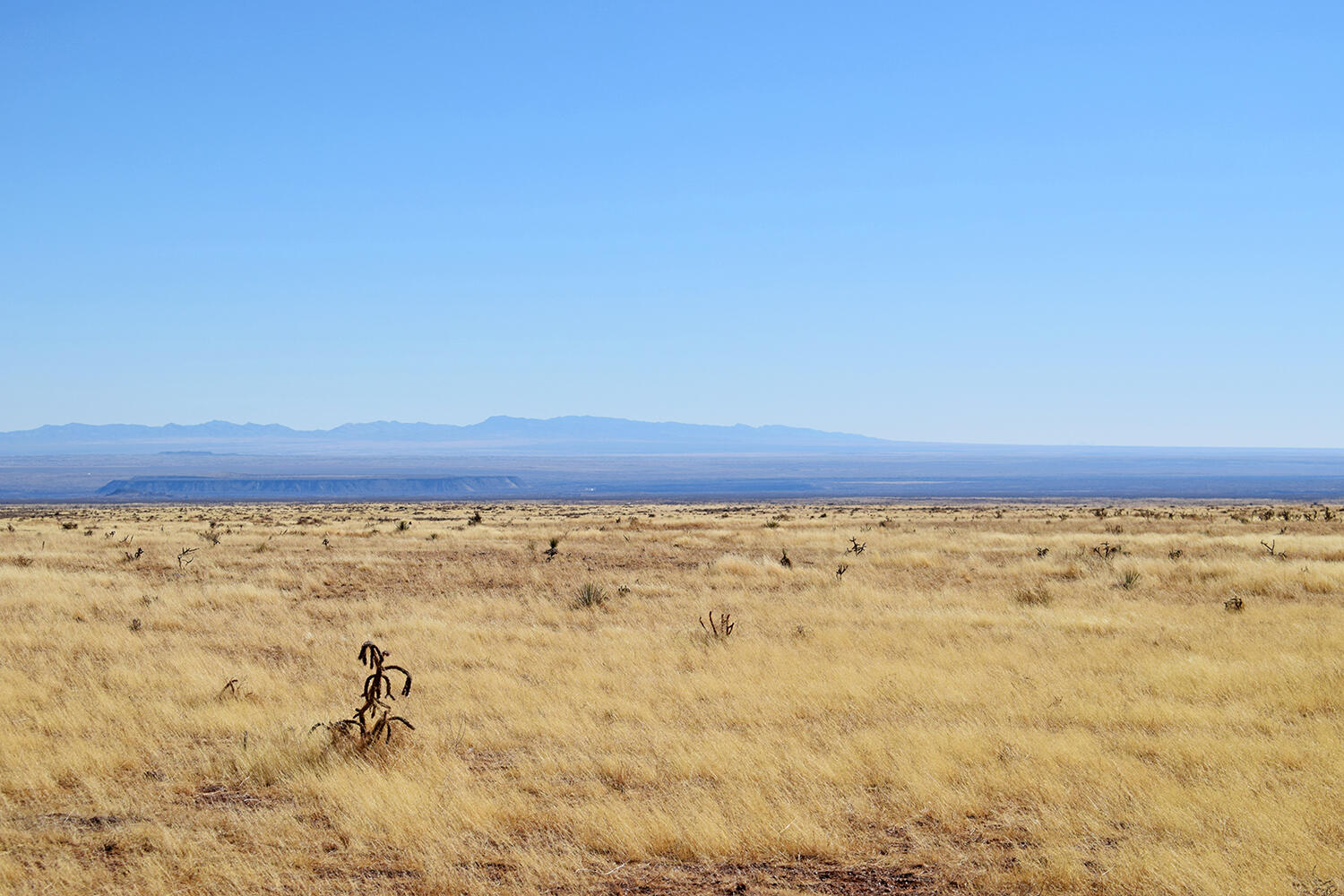 Lot 224 Double B Ranch Road