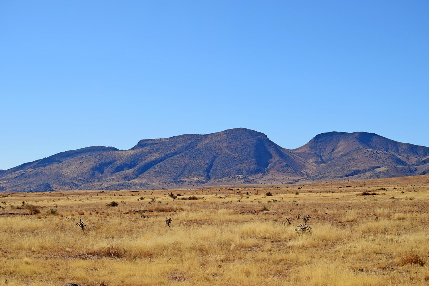 Lot 224 Double B Ranch Road