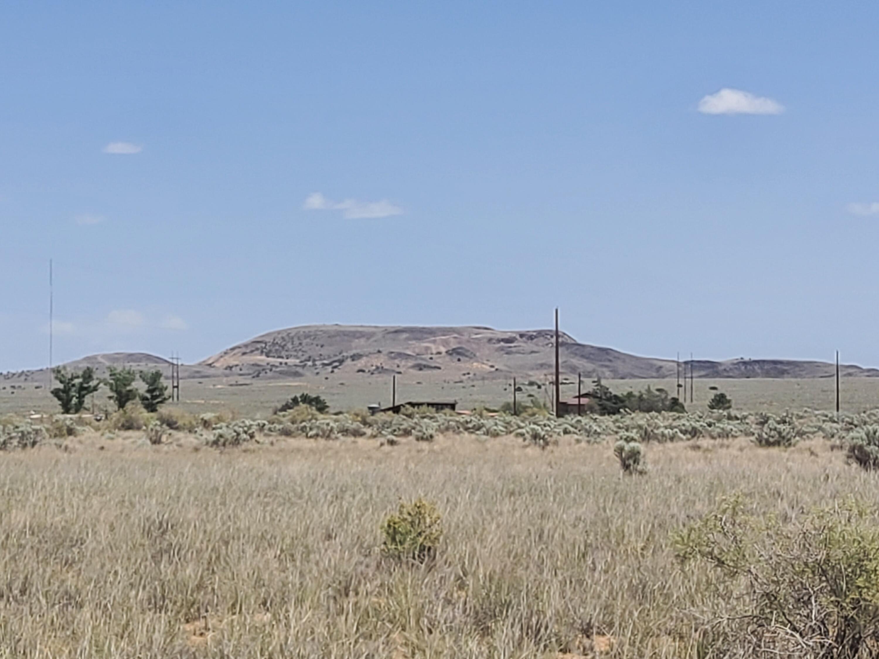 Conejo
