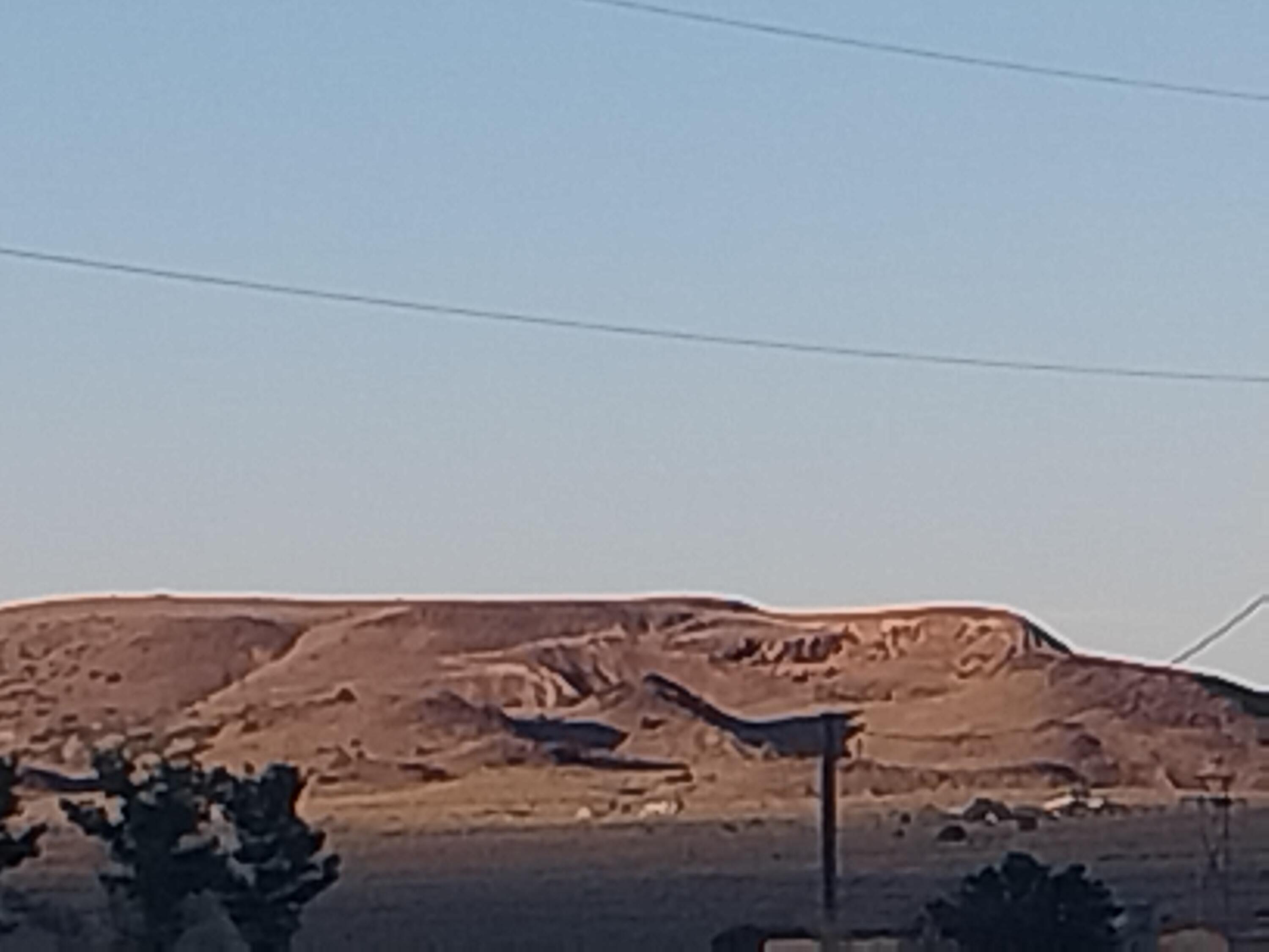 Conejo