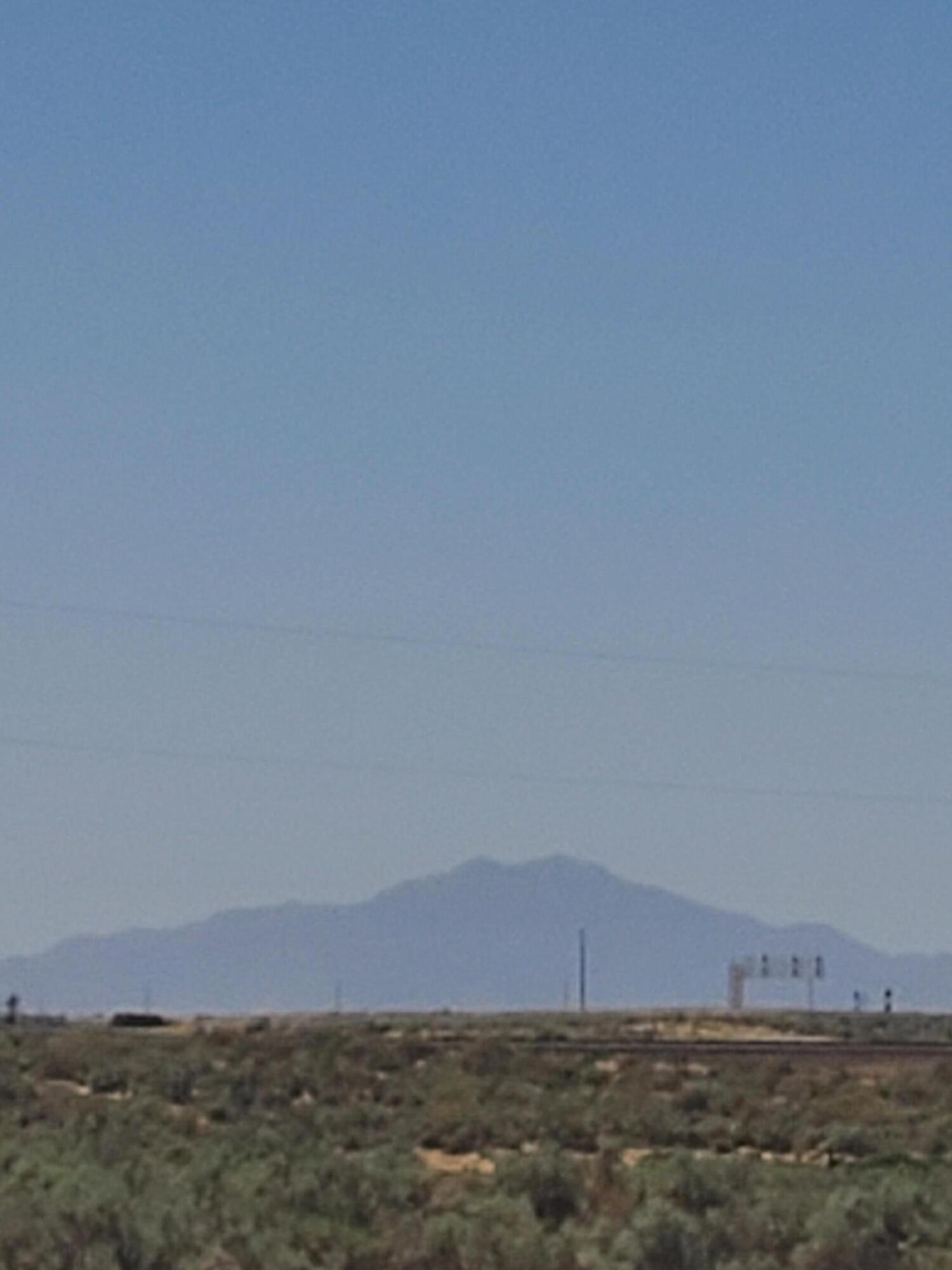 Conejo