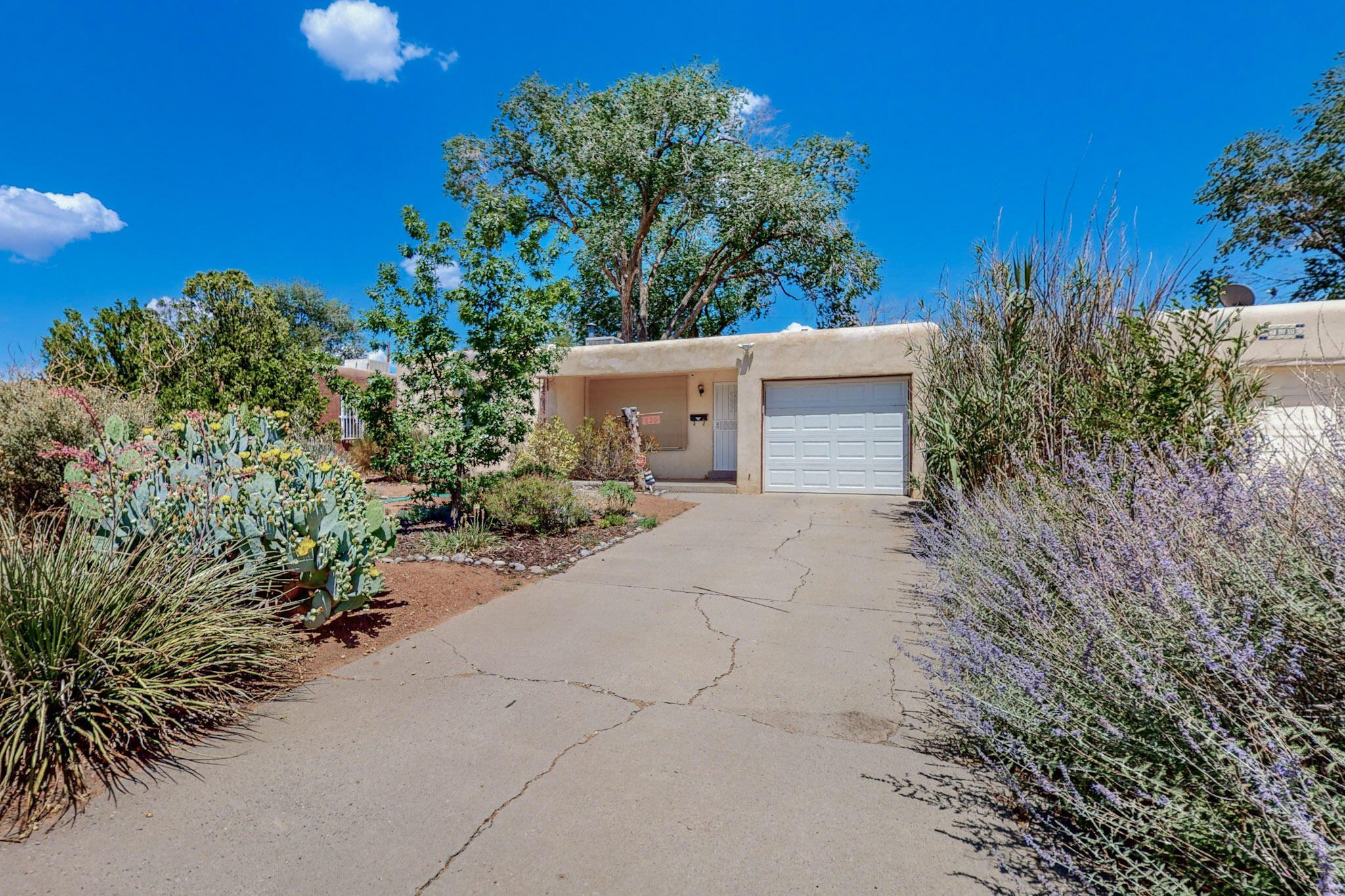 620 Palomas Drive SE