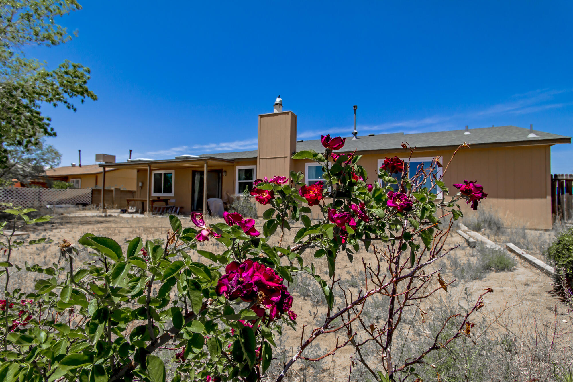 117 Marigold Drive SW