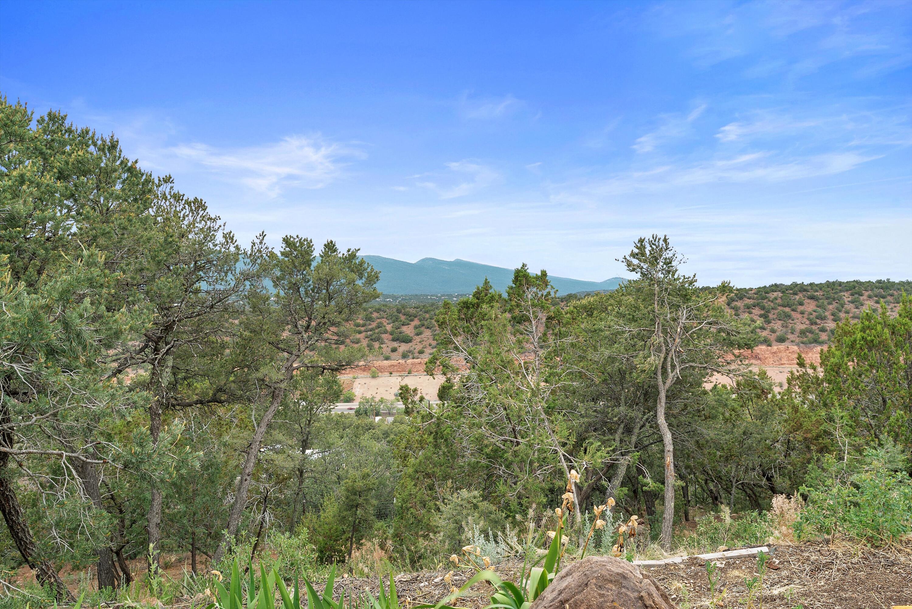 79 Lagarto Road