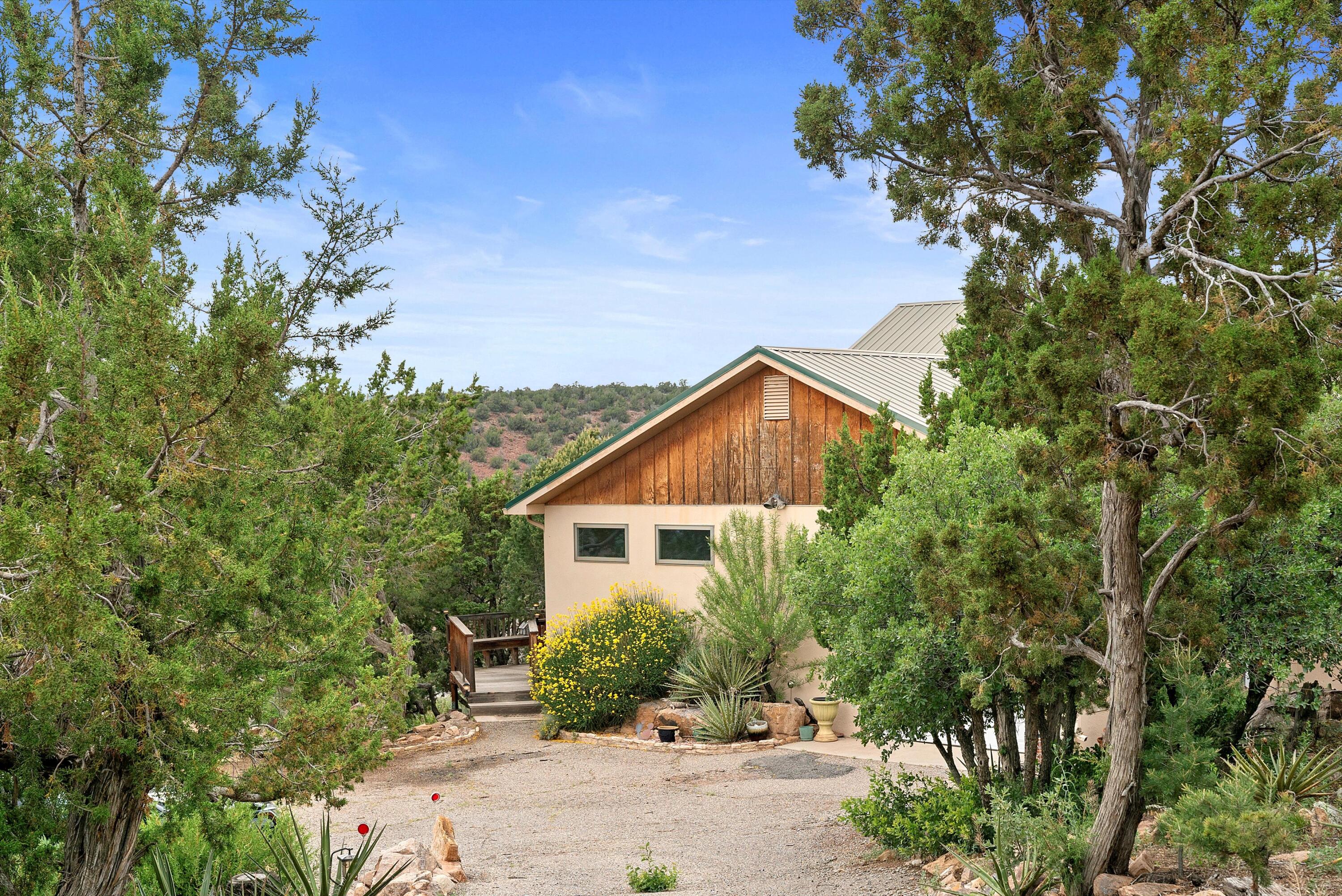 79 Lagarto Road