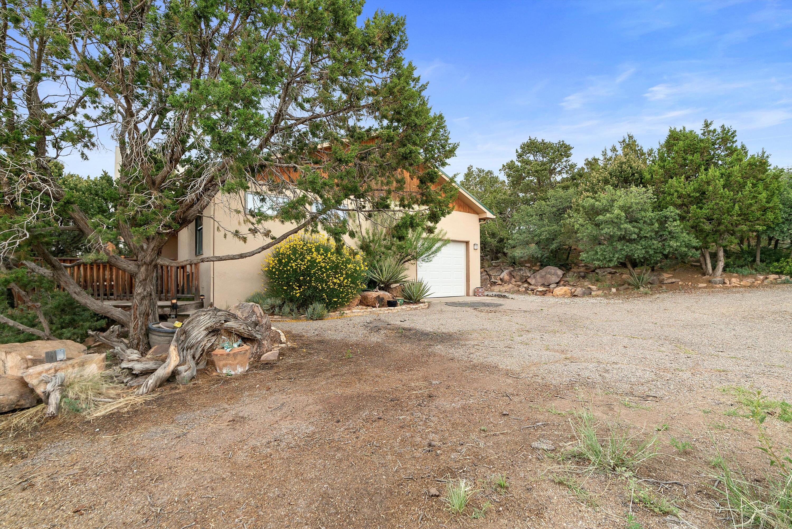 79 Lagarto Road