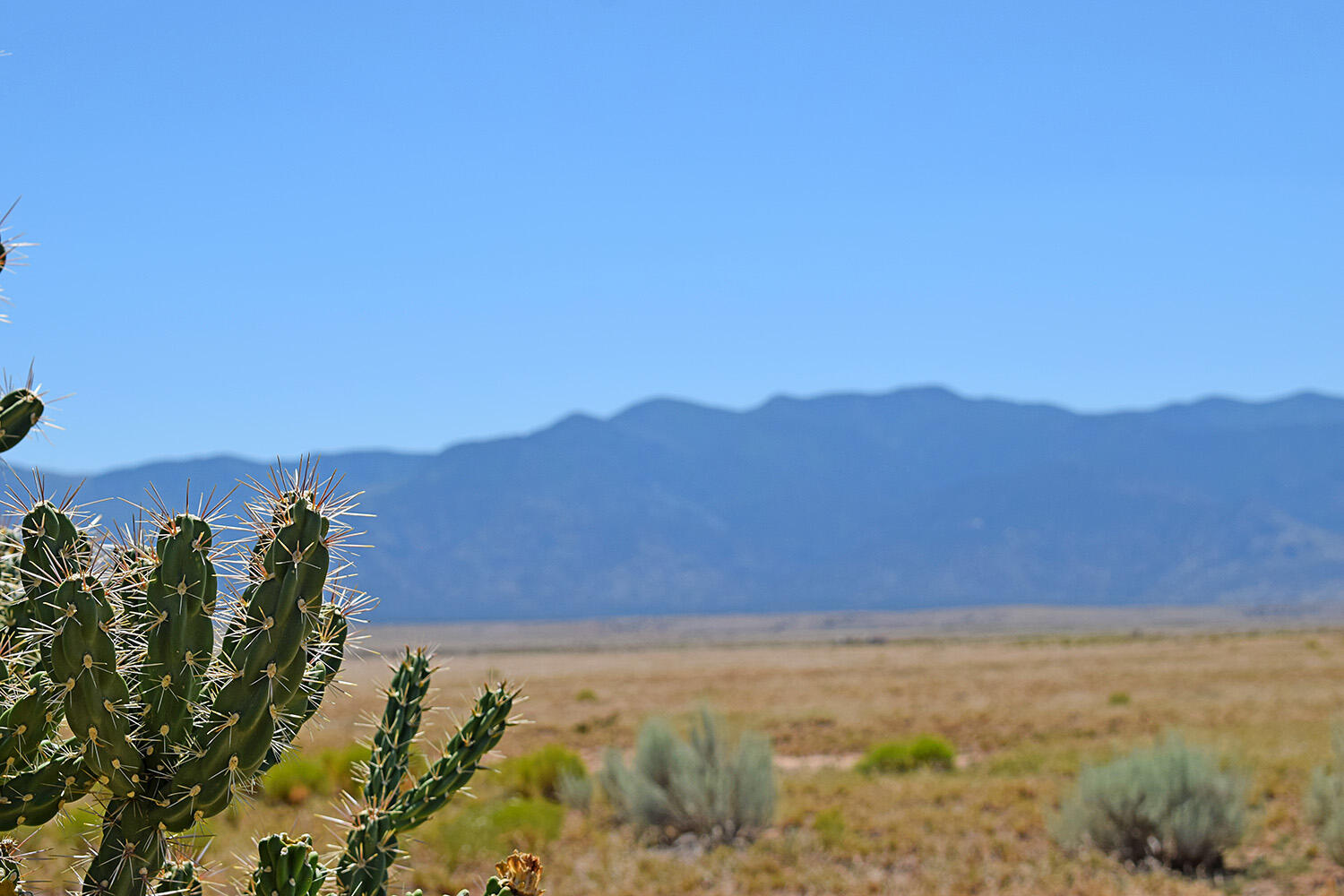 Lot 206 Rancho Rio Grande 16e