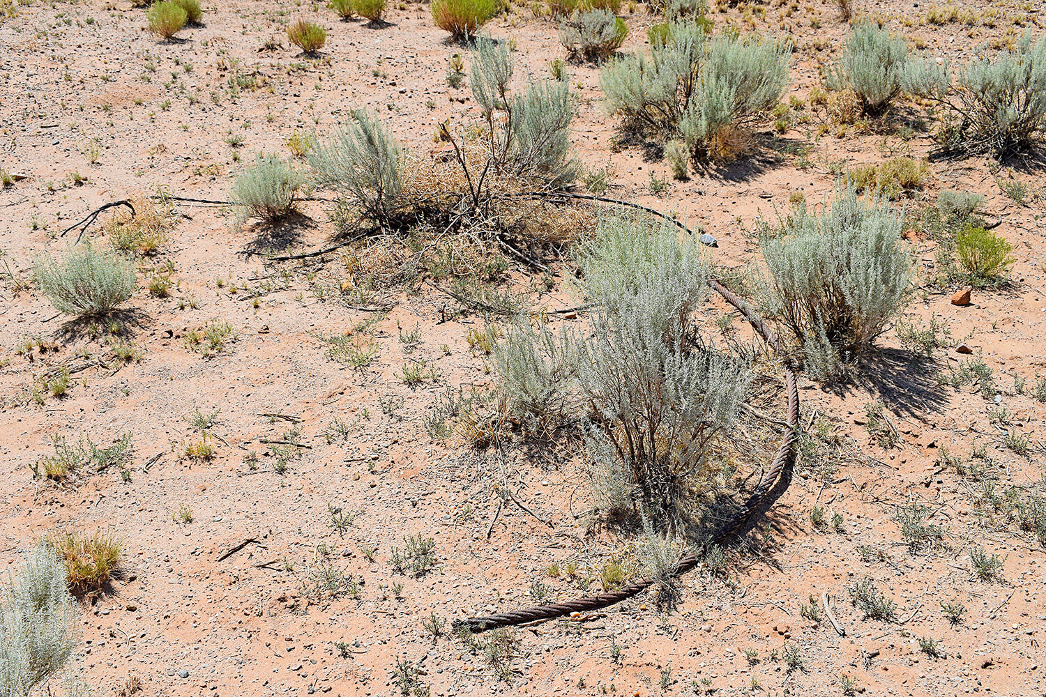 Lot 206 Rancho Rio Grande 16e