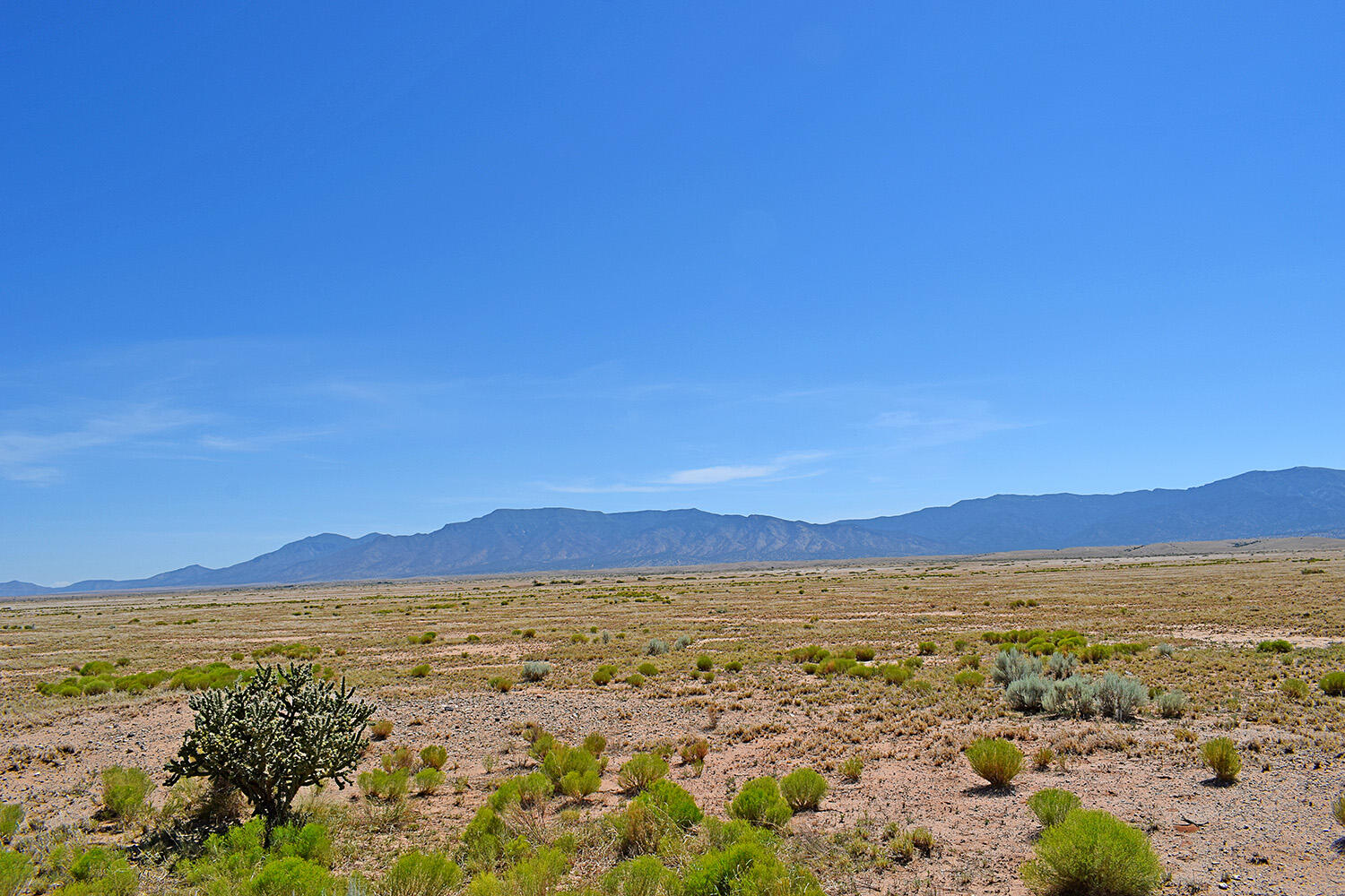 Lot 206 Rancho Rio Grande 16e