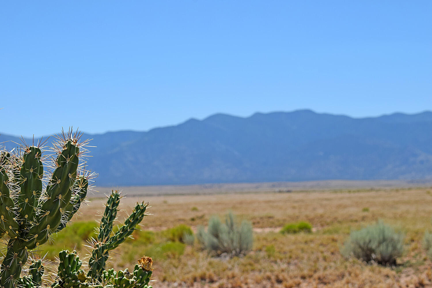 Lot 206 Rancho Rio Grande 16e
