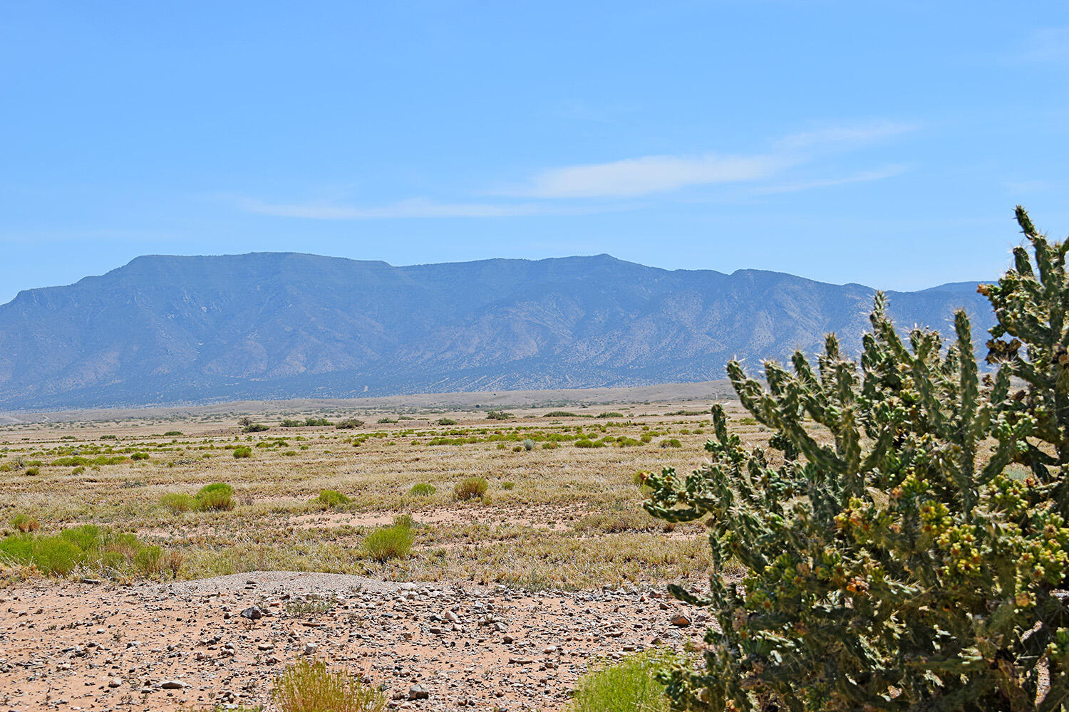 Lot 206 Rancho Rio Grande 16e