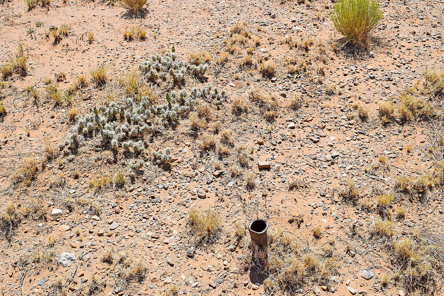 Lot 206 Rancho Rio Grande 16e
