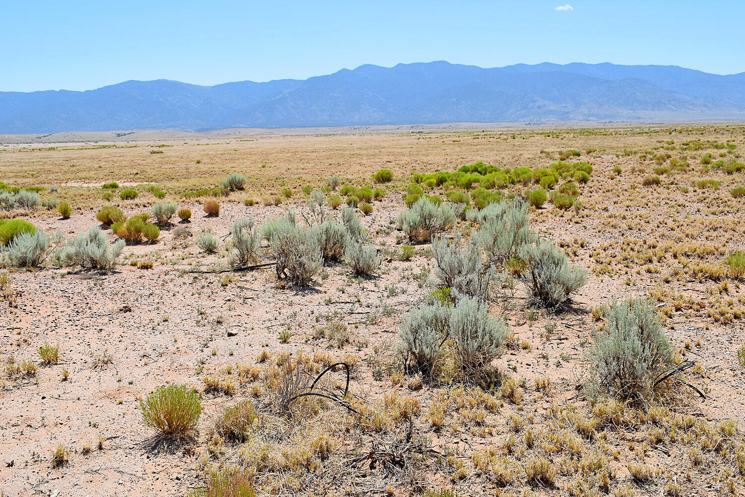 Lot 206 Rancho Rio Grande 16e