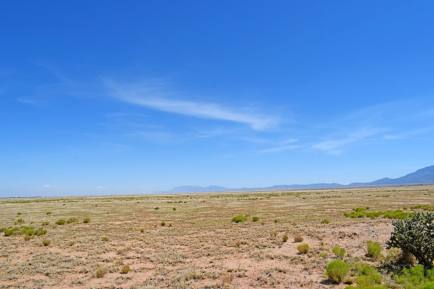 Lot 206 Rancho Rio Grande 16e