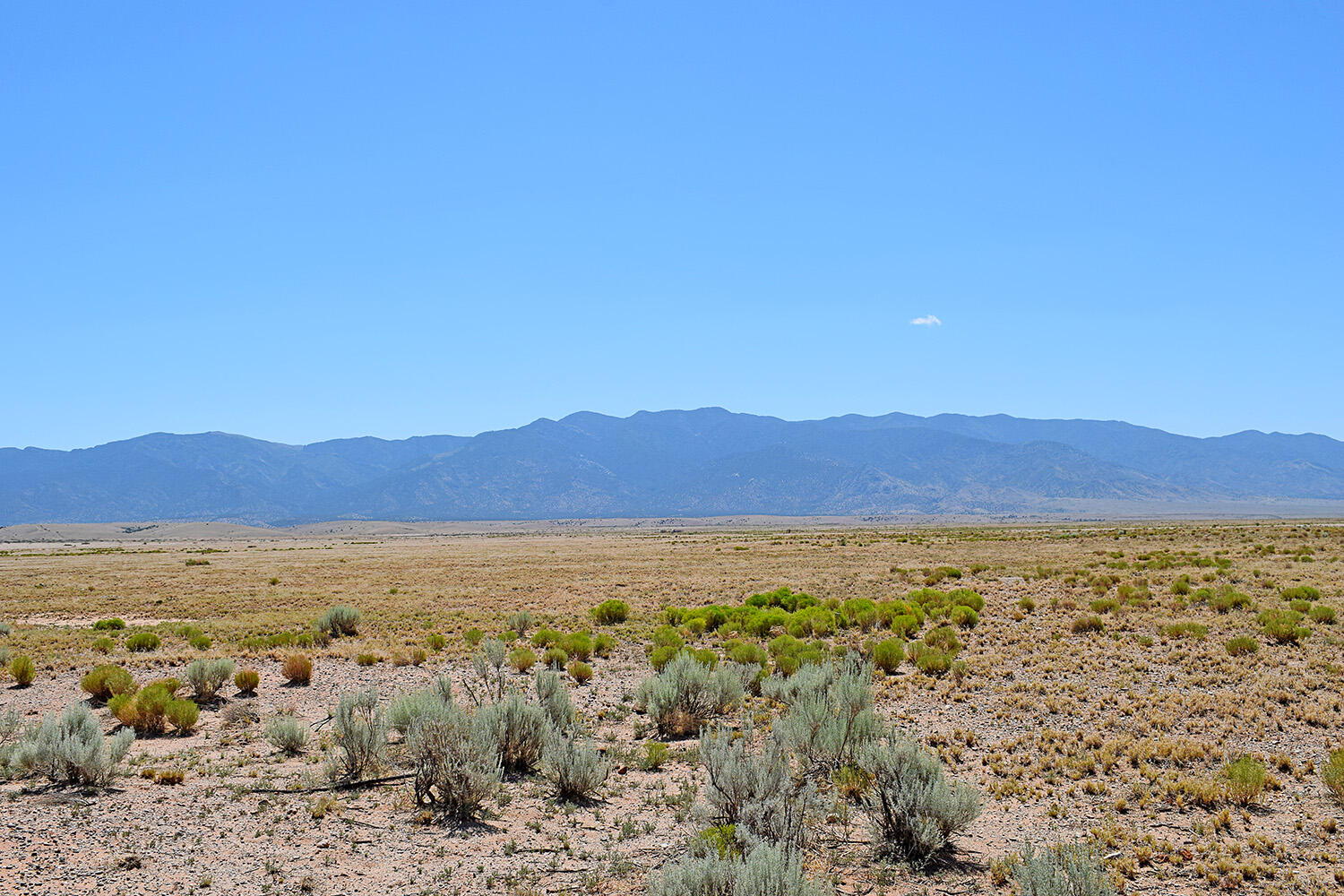 Lot 206 Rancho Rio Grande 16e