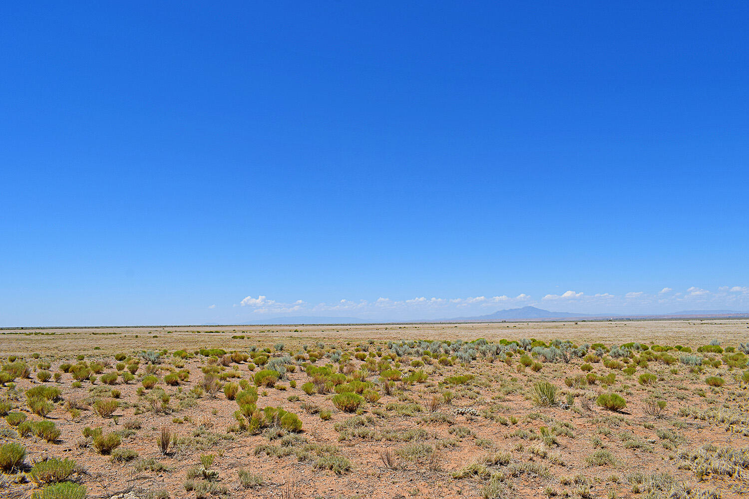 Lot 203 Rancho Rio Grande 16e