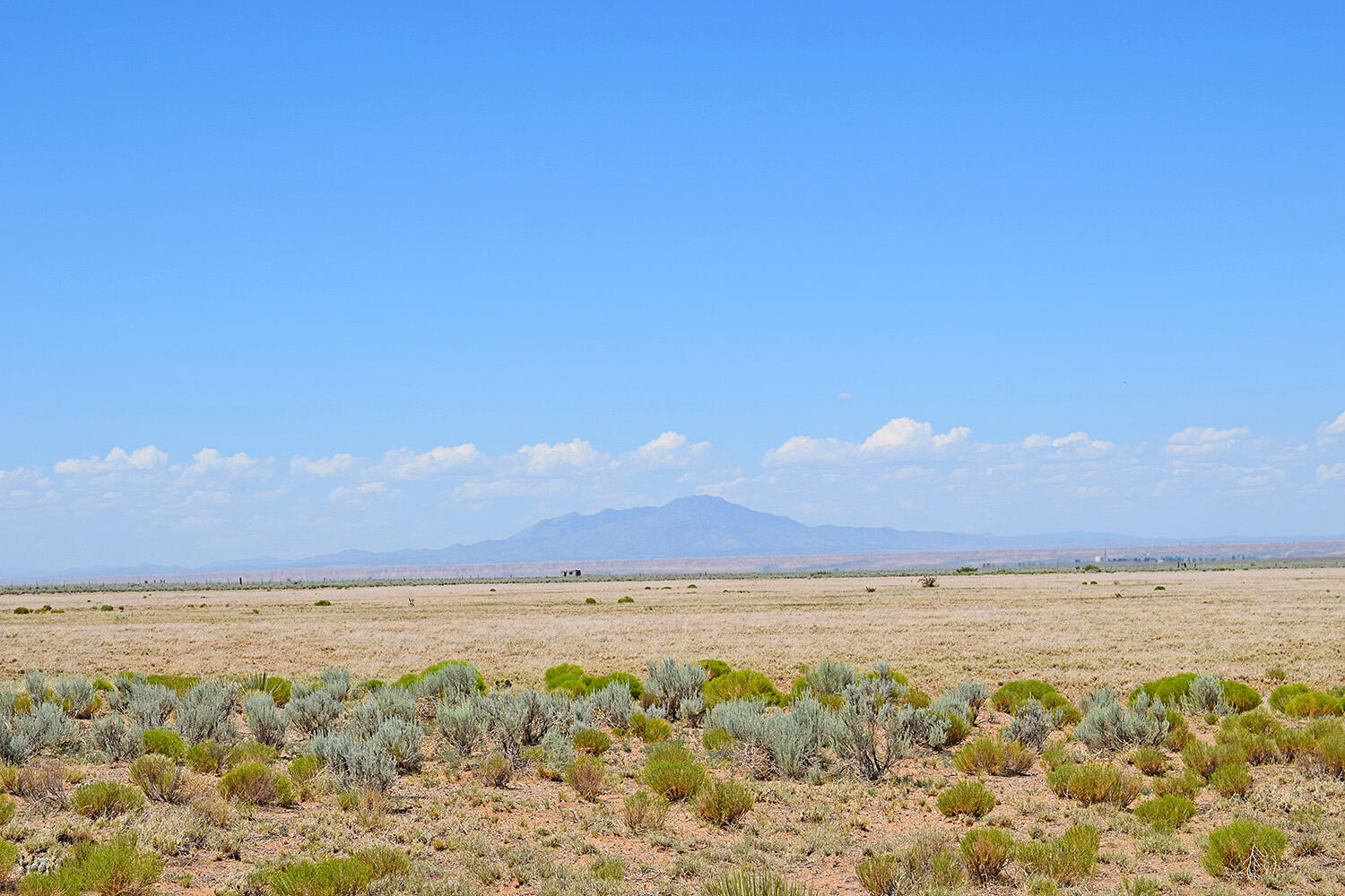 Lot 203 Rancho Rio Grande 16e